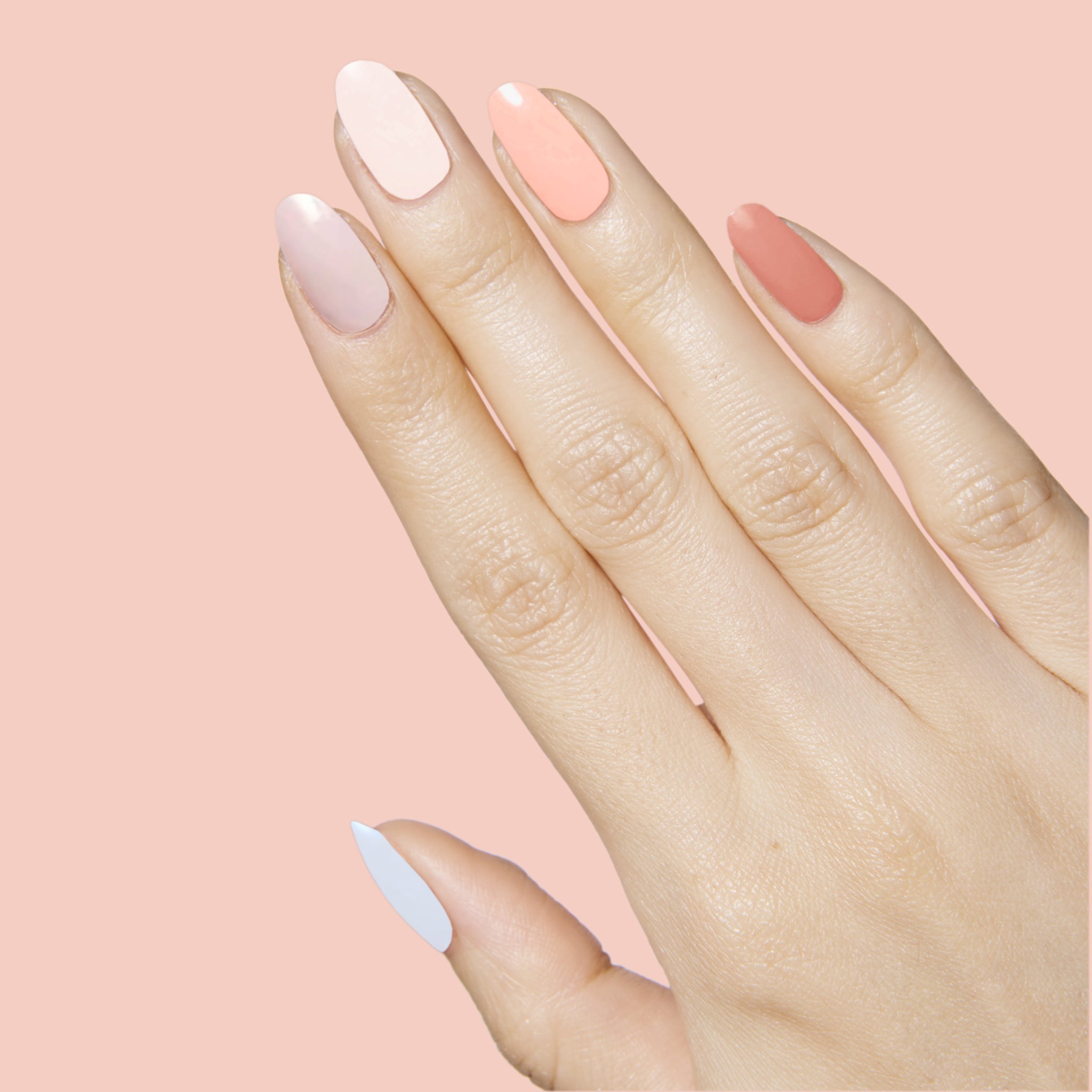 Malibu Sunset Set、mySite、solidvoid