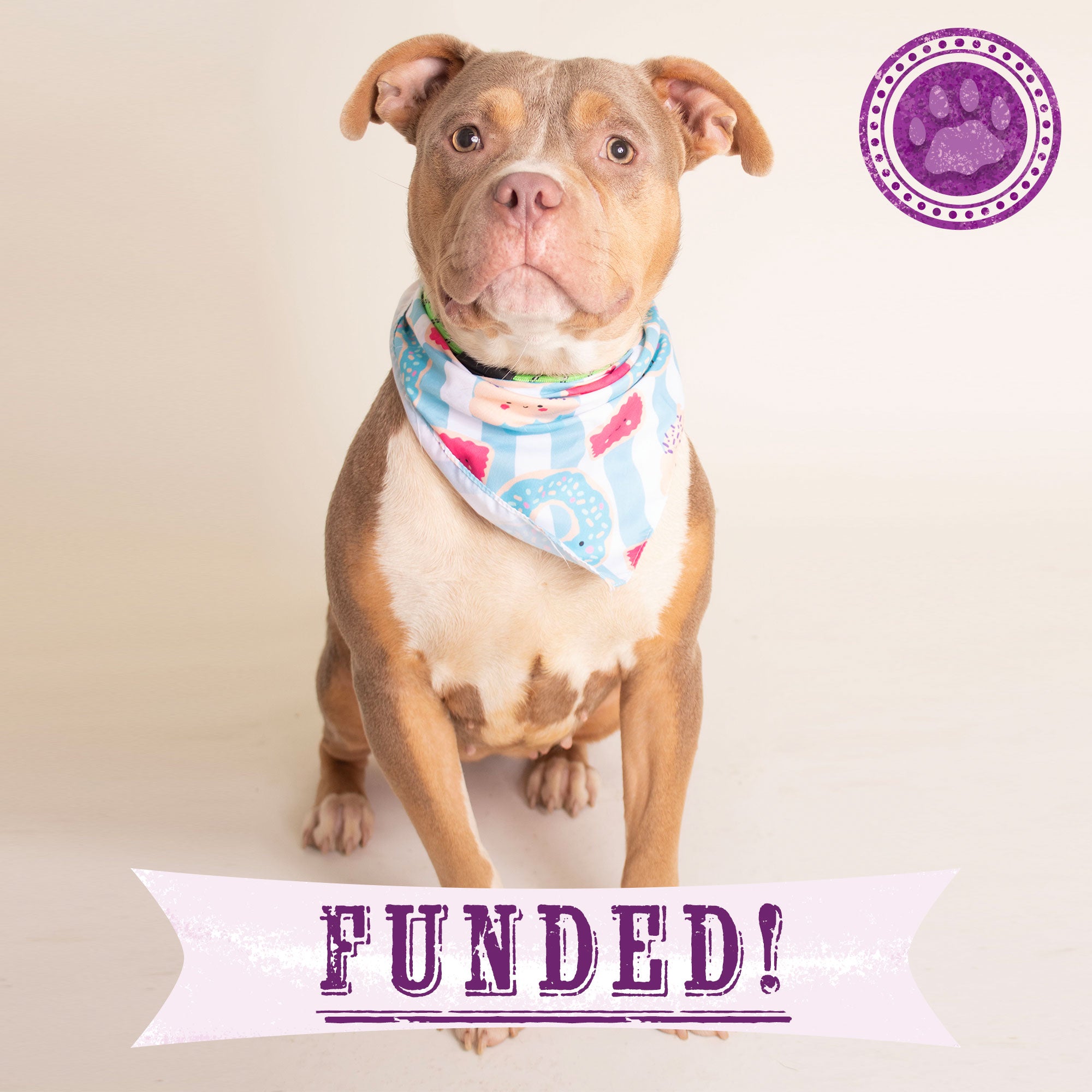 Funded - Help Colima Heal After Trauma & Abuse、mySite、camillekostekn