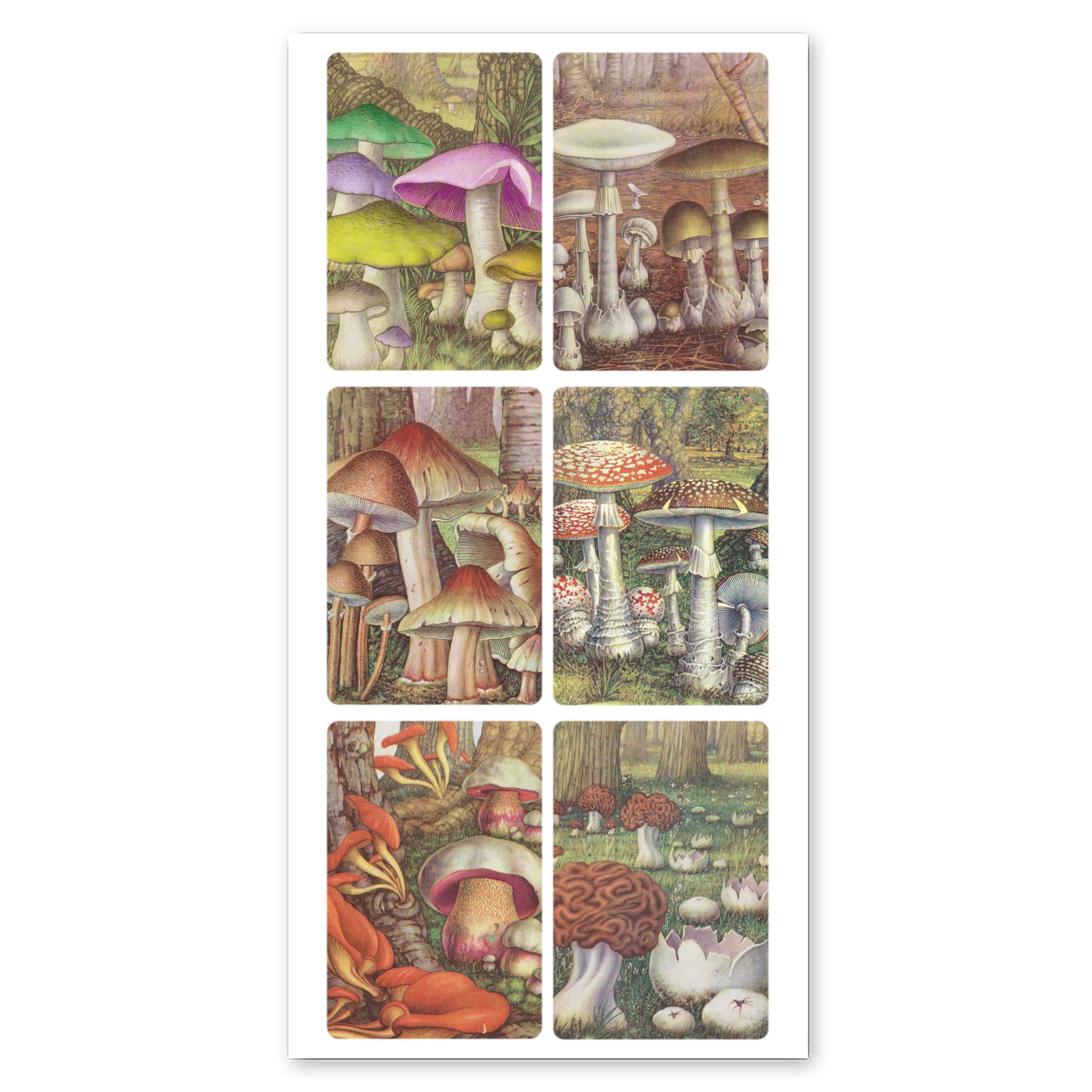  Louis' Mushroom Stickers、mySite、ghnorth