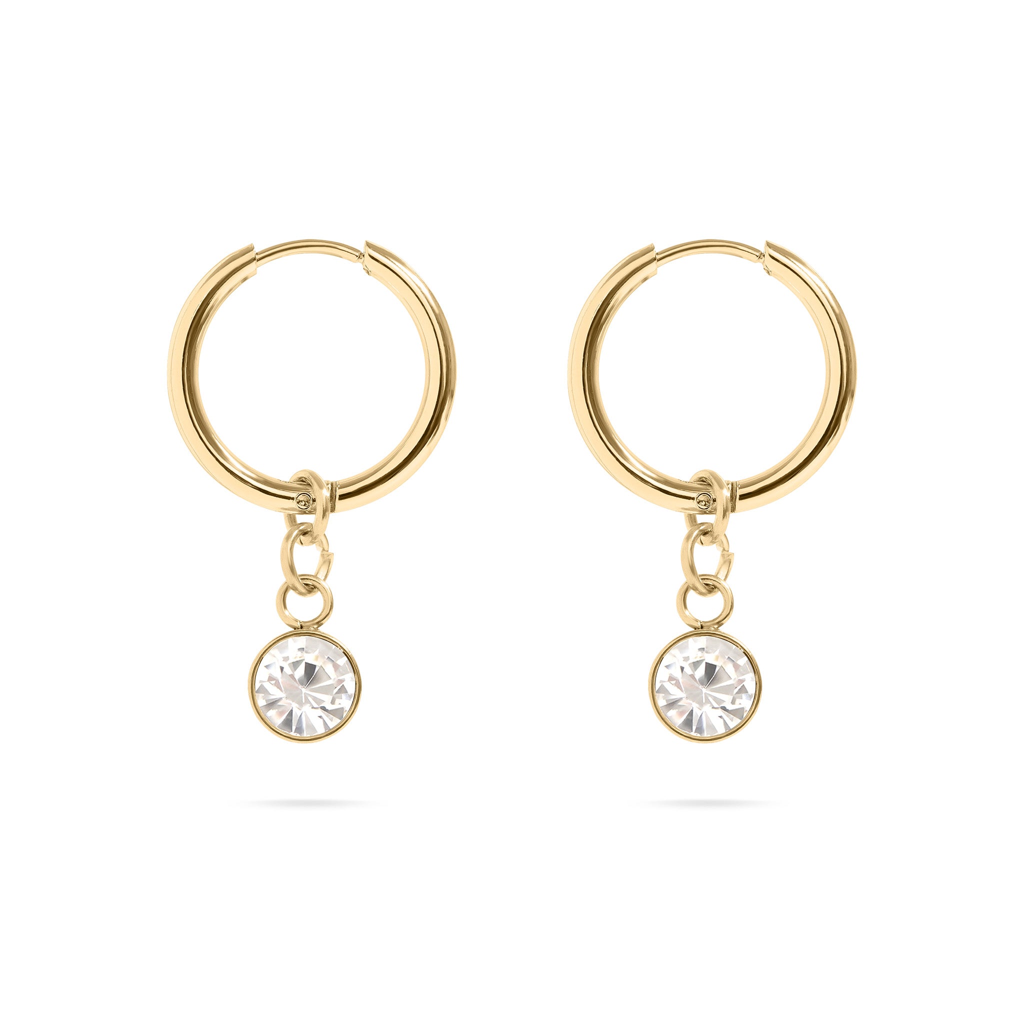 18K Gold PVD Birthstone Huggie Earrings / ERJ0074、mySite、dreamappss