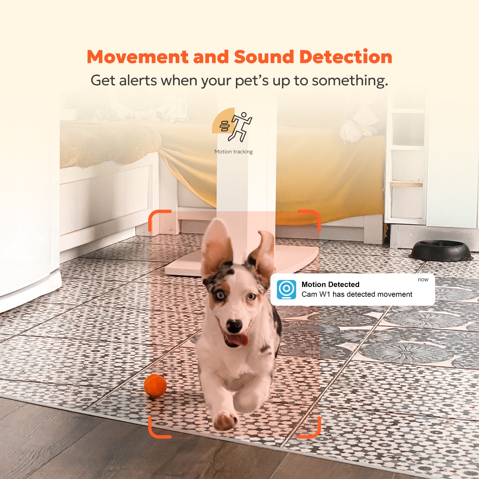 2K Indoor Camera - W1 (Wired)、mySite、fannypackpong