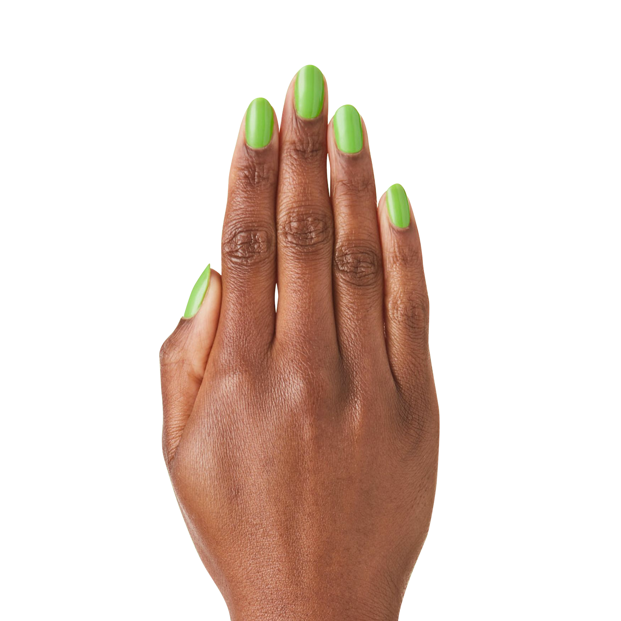 The Summer 2021 Set、mySite、solidvoid