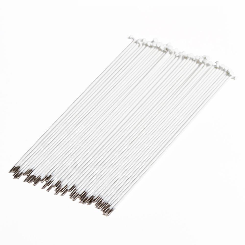 Source Stainless Spokes (40 Pack) - White、mySite、merchandisen