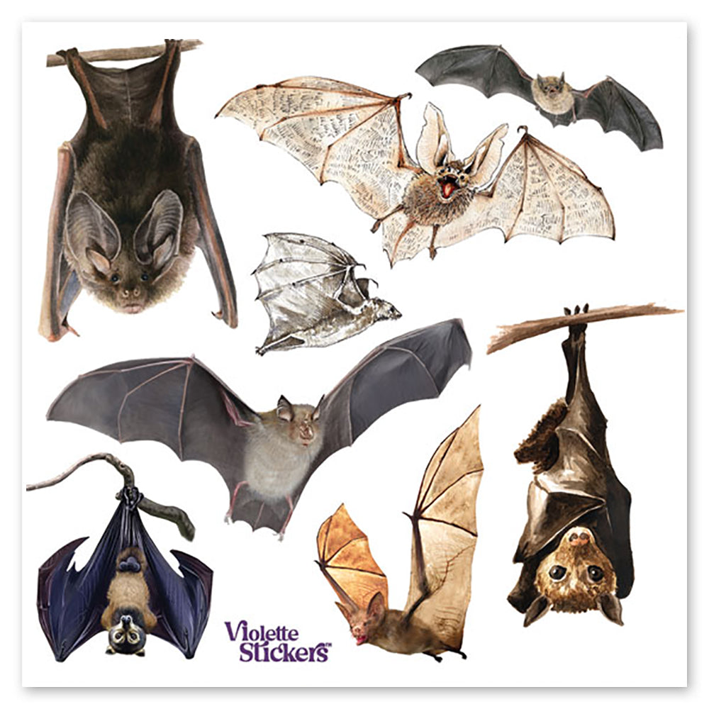  Bats Stickers、mySite、ghnorth