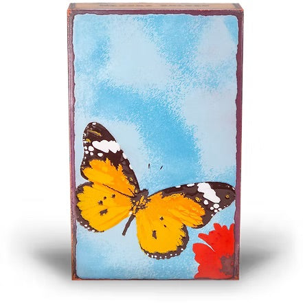 228: Chrysalis、mySite、g9winljtr