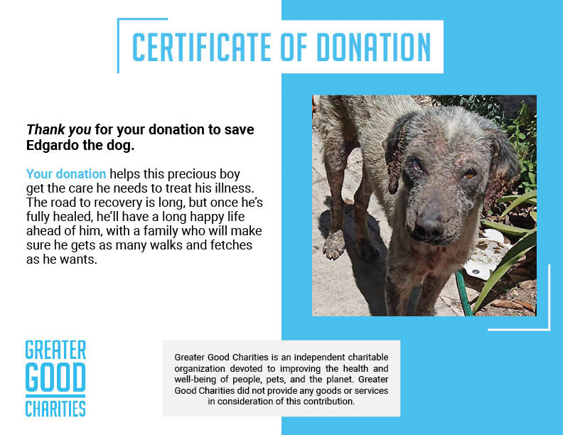 Funded: Help Edgardo Recover from Malnourishment and Mange、mySite、camillekostekn