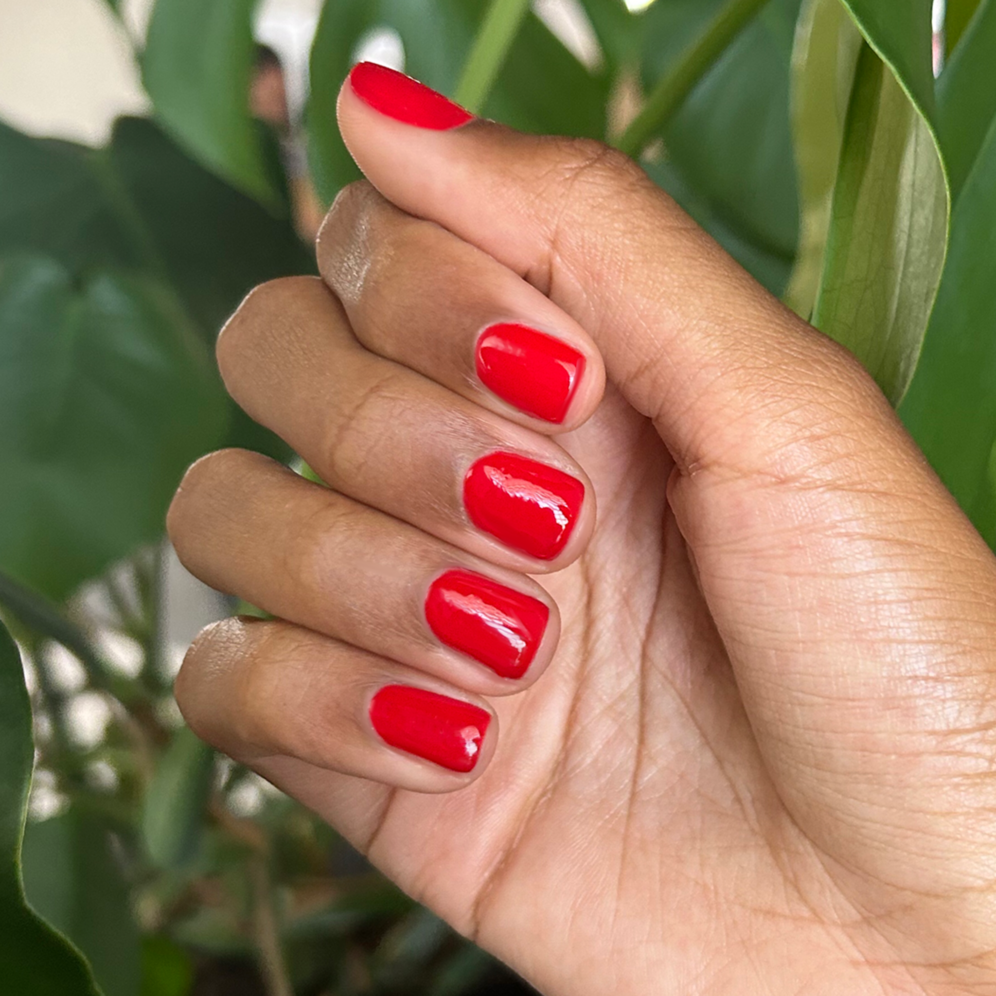 CV - Gel、mySite、solidvoid