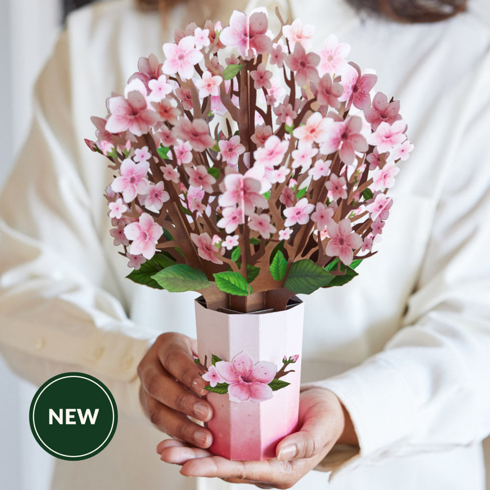 You Brighten My World Birds Suncatcher Card & Pop-Up Bouquet Bundle、mySite、solidvoid