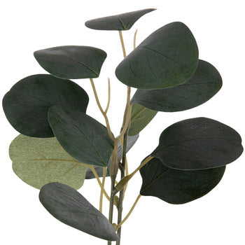  Eucalyptus Leaf Floral、mySite、elrpsem3k