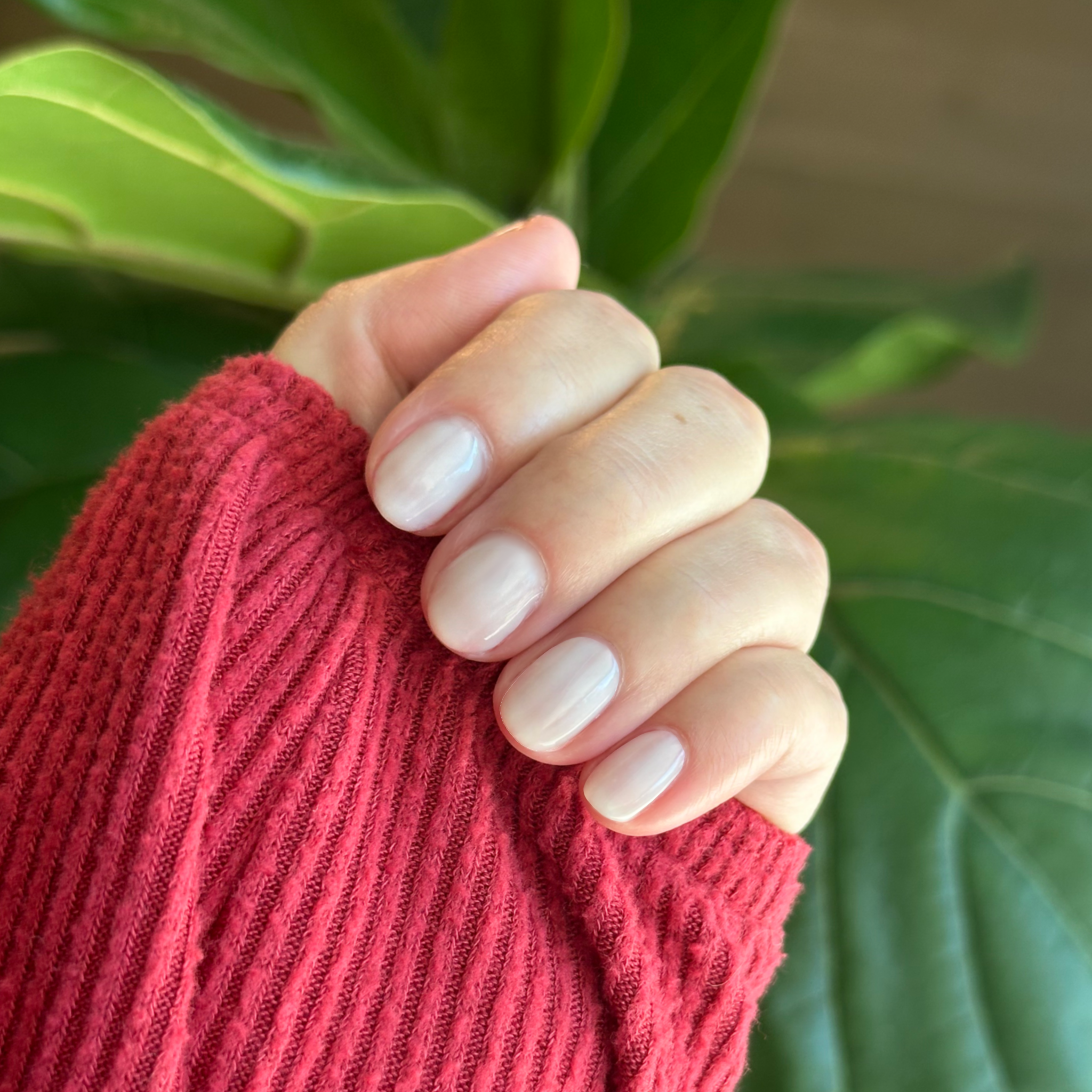 Icing is the Best Part - Gel、mySite、solidvoid