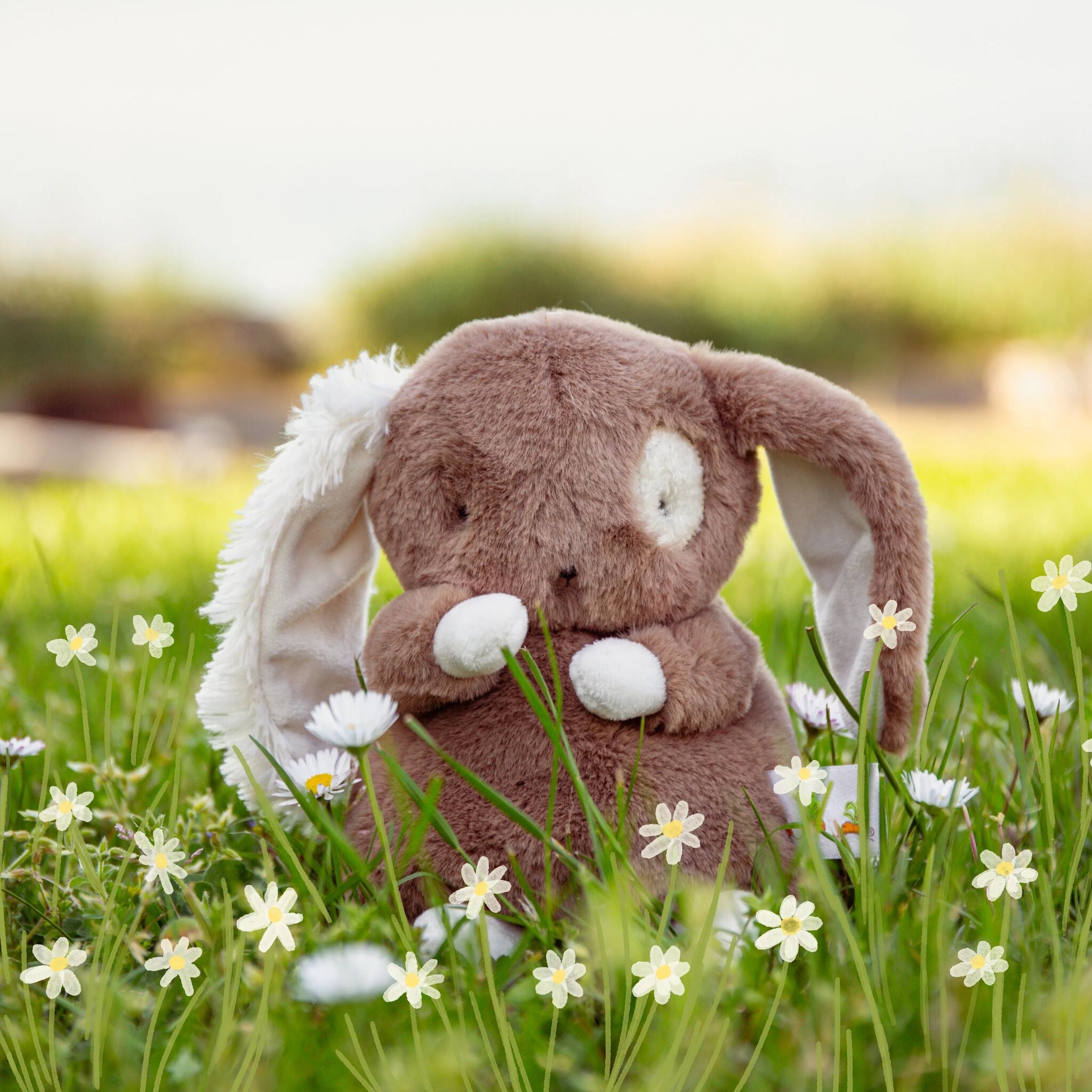 Baby Harriet Book Bundle、mySite、g9winljtr