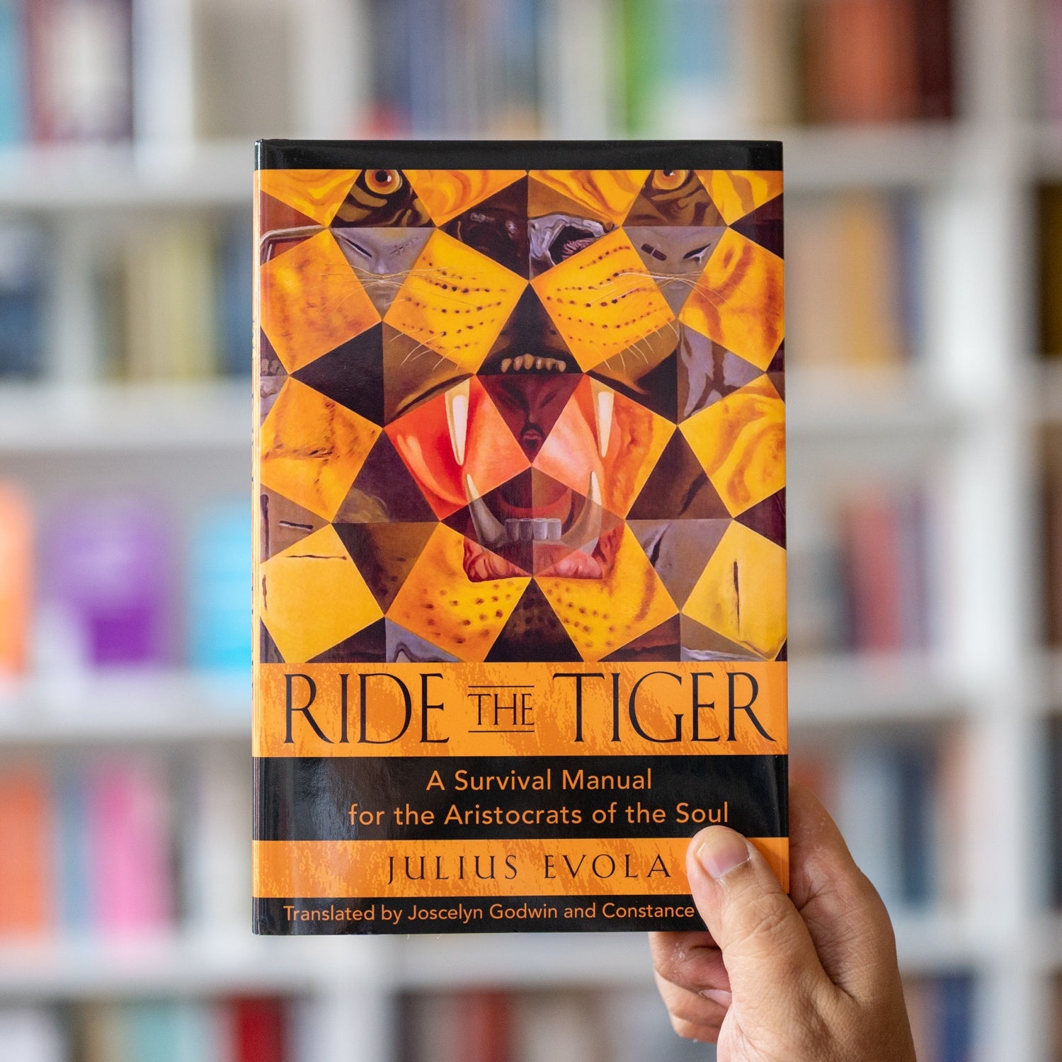 Ride the Tiger: A Survival Manual for the Aristocrats of the Soul、mySite、topwebapps