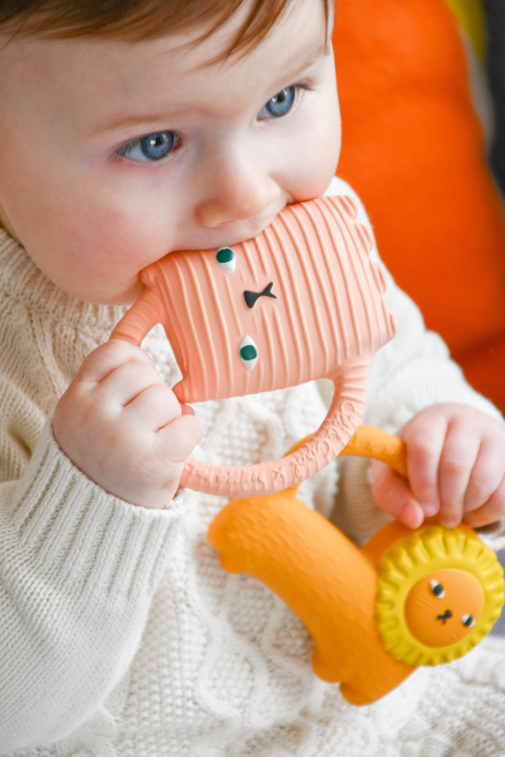 Ginge Cat, Oli & Carol x Donna Wilson、mySite、g9winljtr