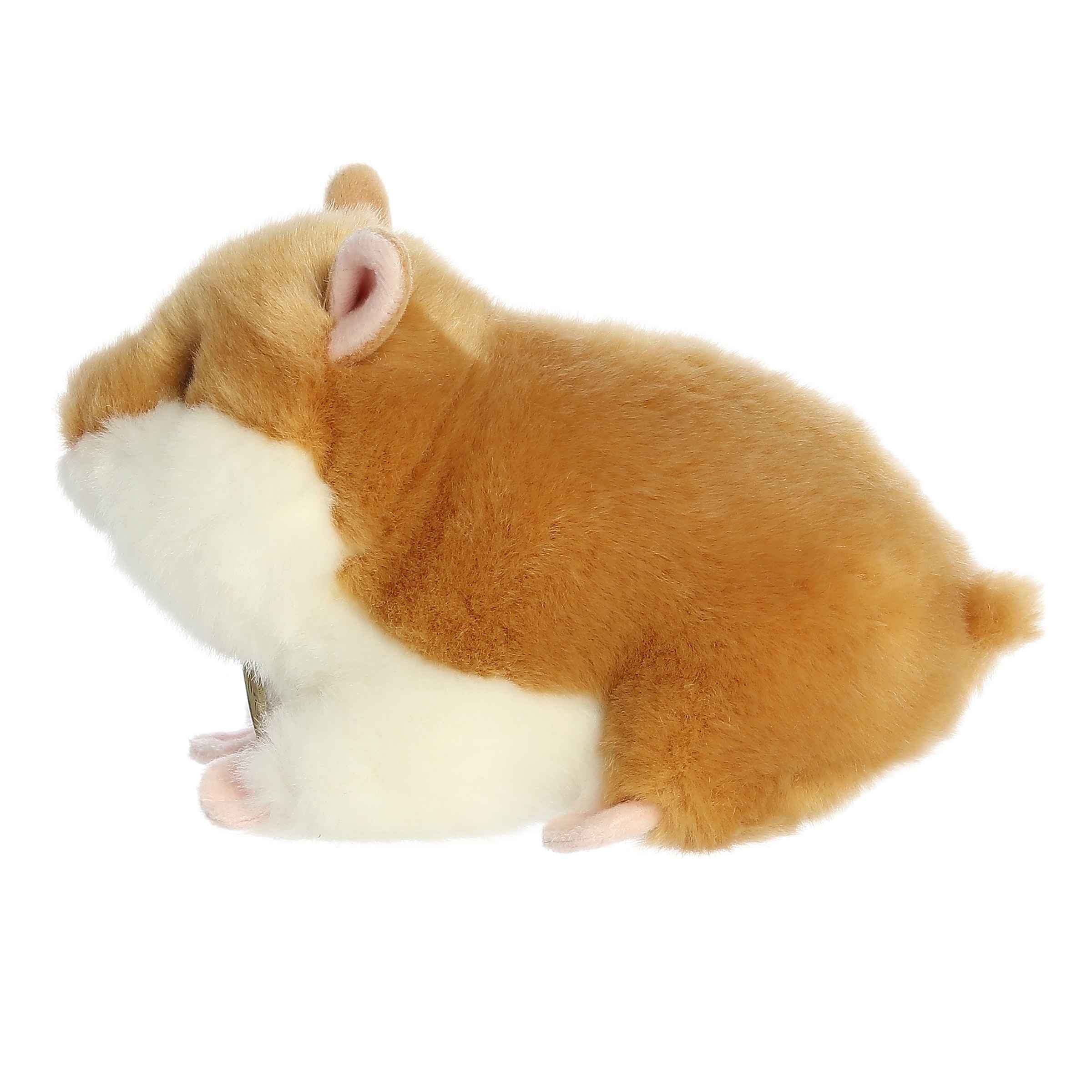 Aurora® - Miyoni® - 7 Hamster、mySite、g9winljtr