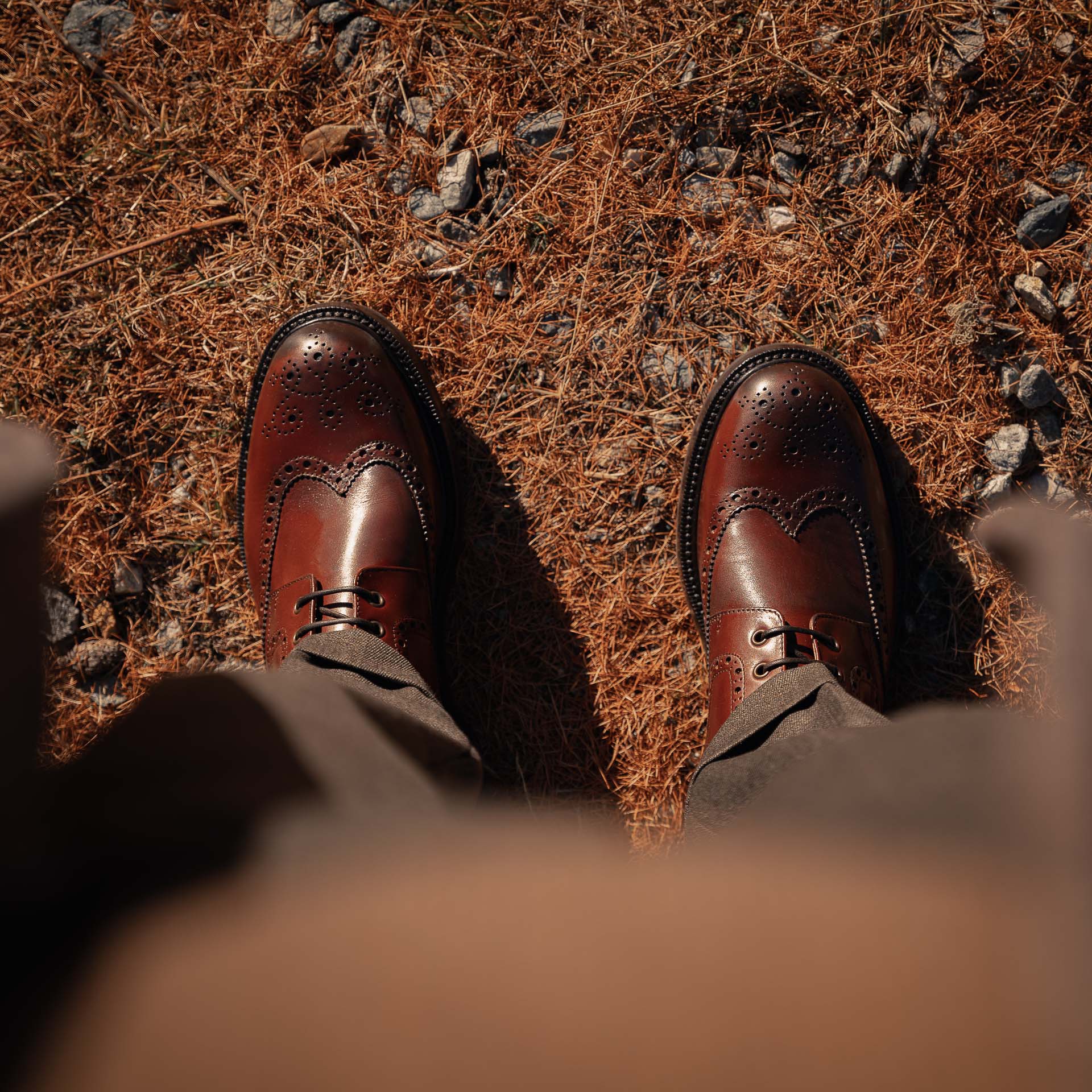  Tirapè、mySite、merchandisen