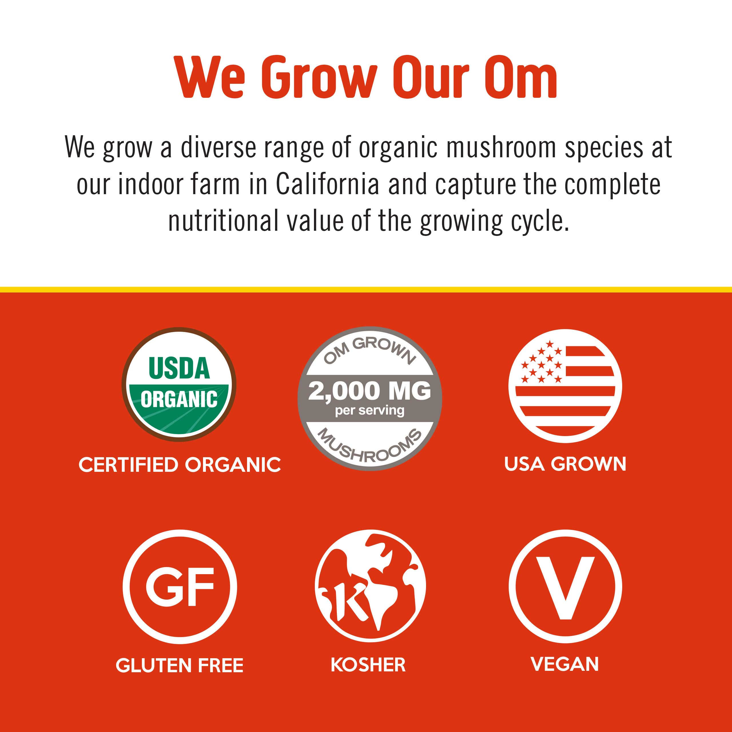 Mushroom Morning Blend、mySite、gigharbornorthrealestate