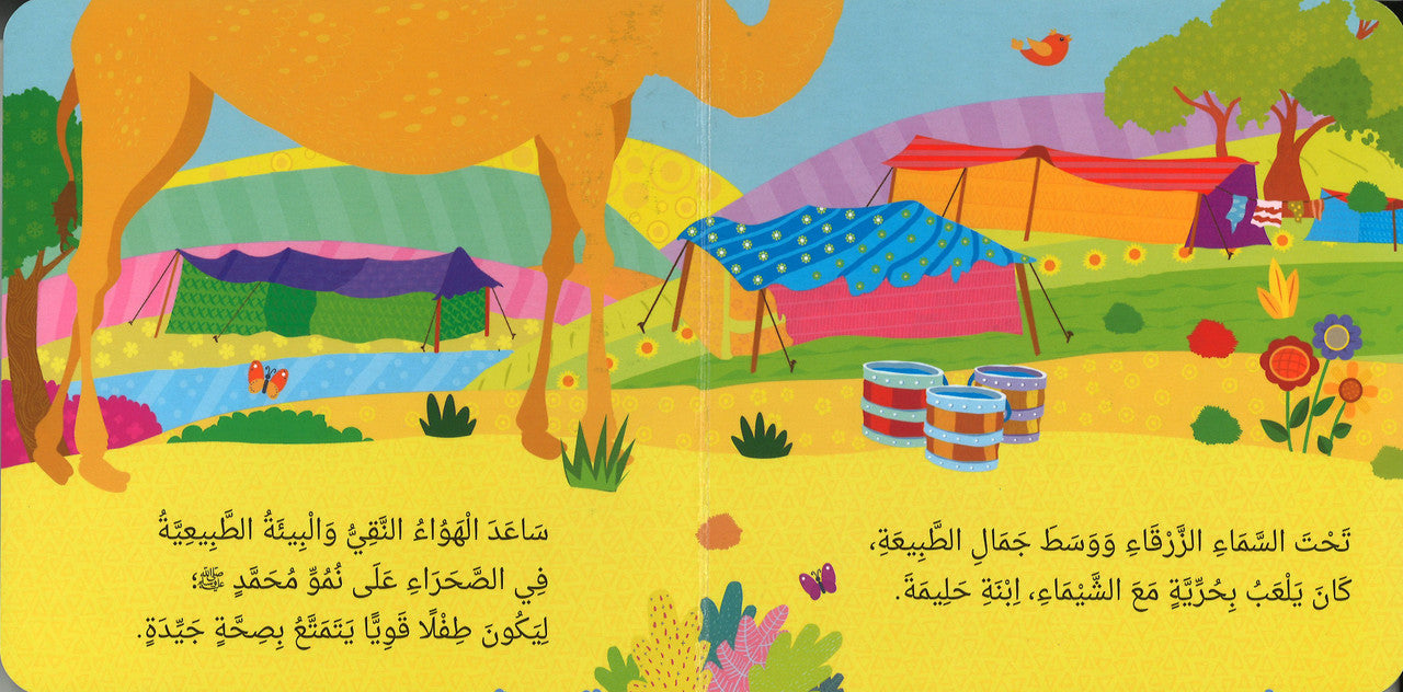 The Birth of Prophet Muhammad (Board Book) - Arabic مَوْلِدُ النَّبِيِّ مُحَمَّدٍ ﷺ、mySite、topwebapps