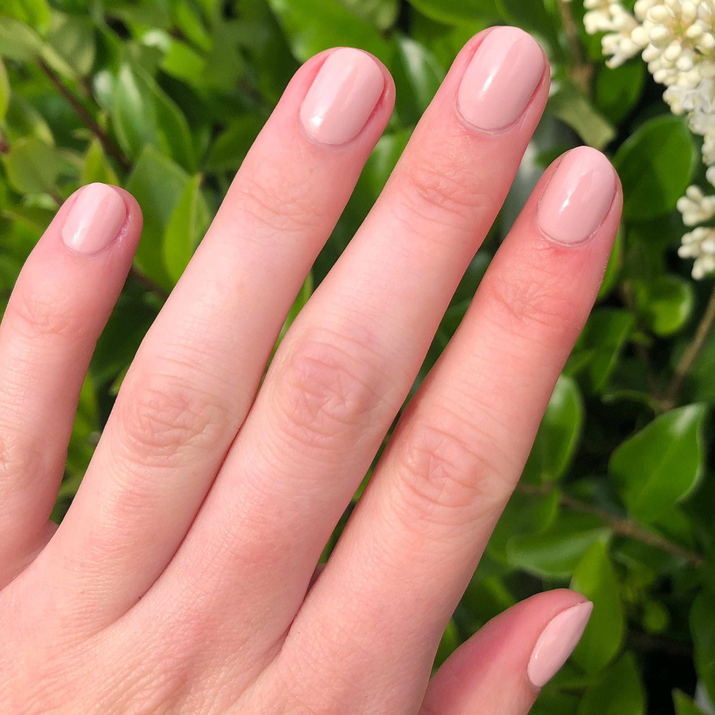 MM、mySite、solidvoid