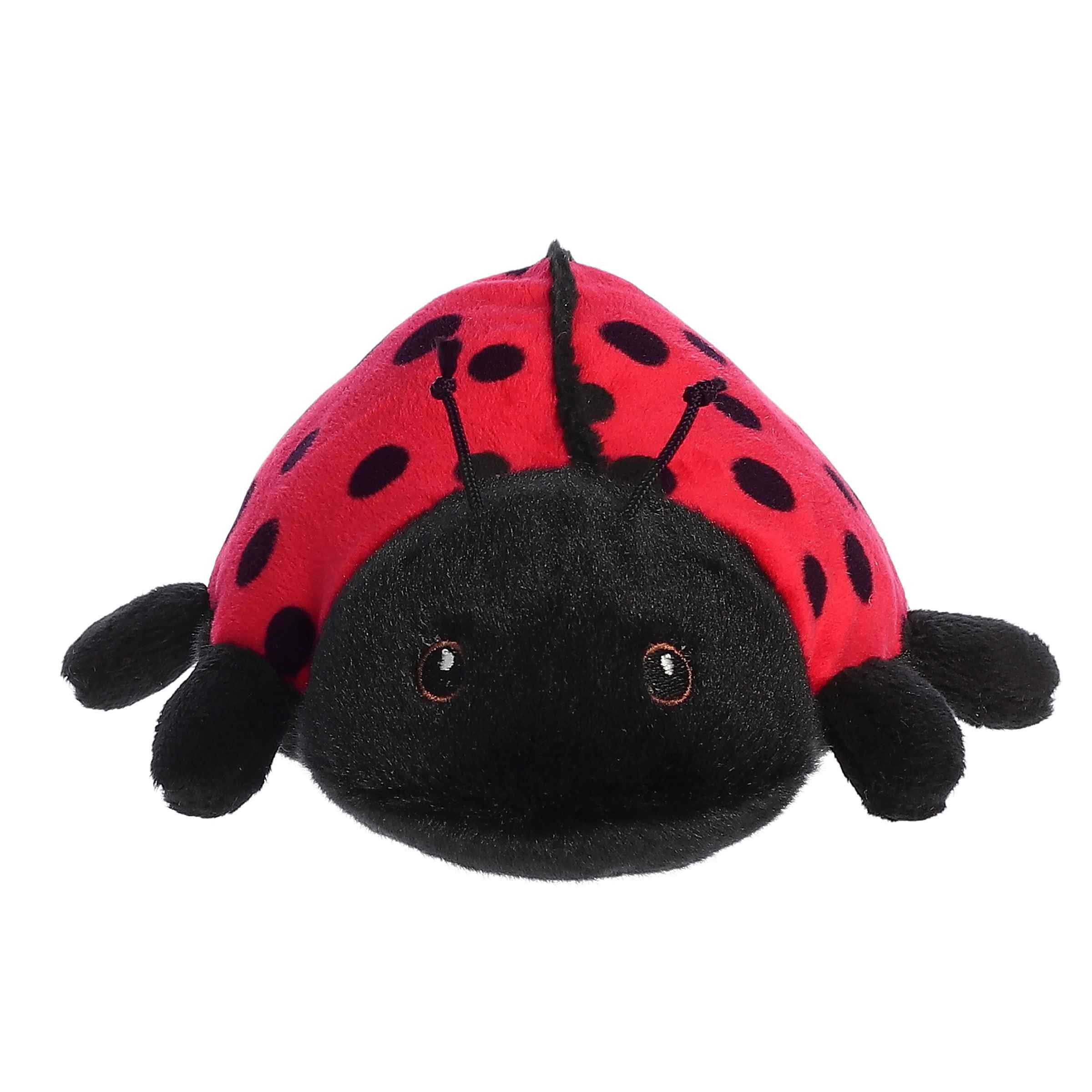 Aurora® - Eco Nation™ - Eco Softies™ - 8 Ladybug、mySite、g9winljtr