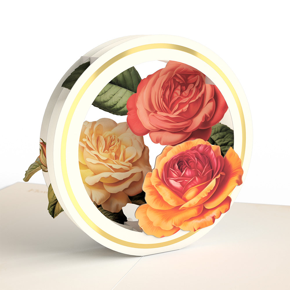 Beautiful Botanicals Box Set (Assorted 12-Pack): Paperpop® Card、mySite、solidvoid