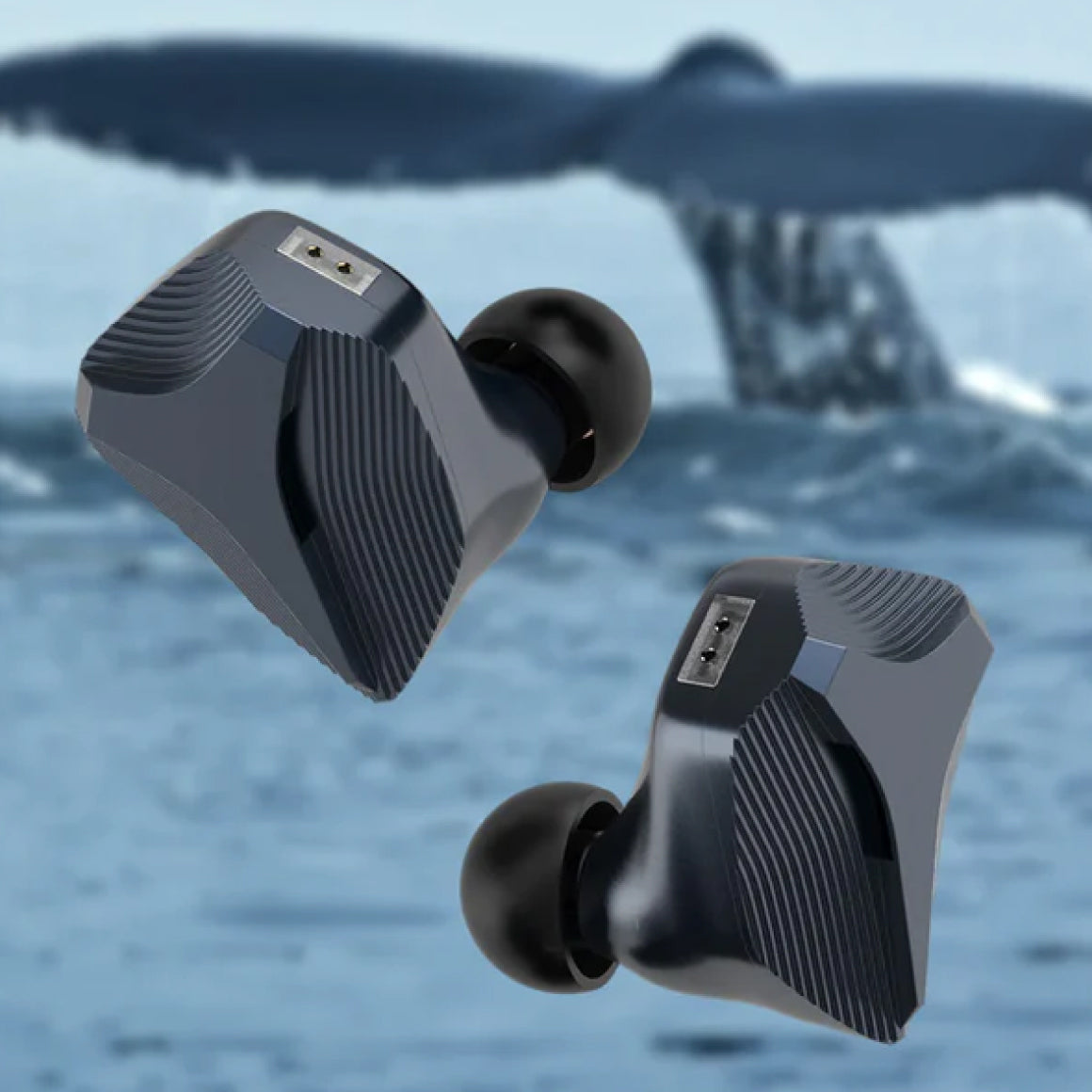  Hidizs - MP145、mySite、merchandisen