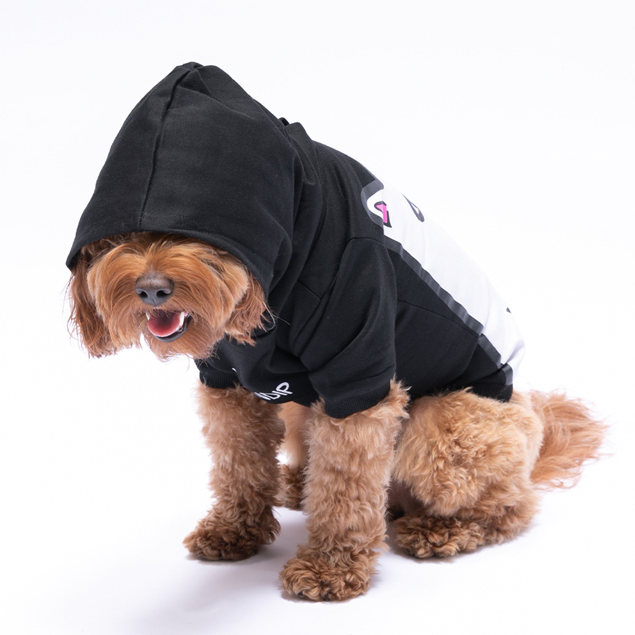  Lord Nermal Pet Hoodie (Black)、mySite、merchandisen