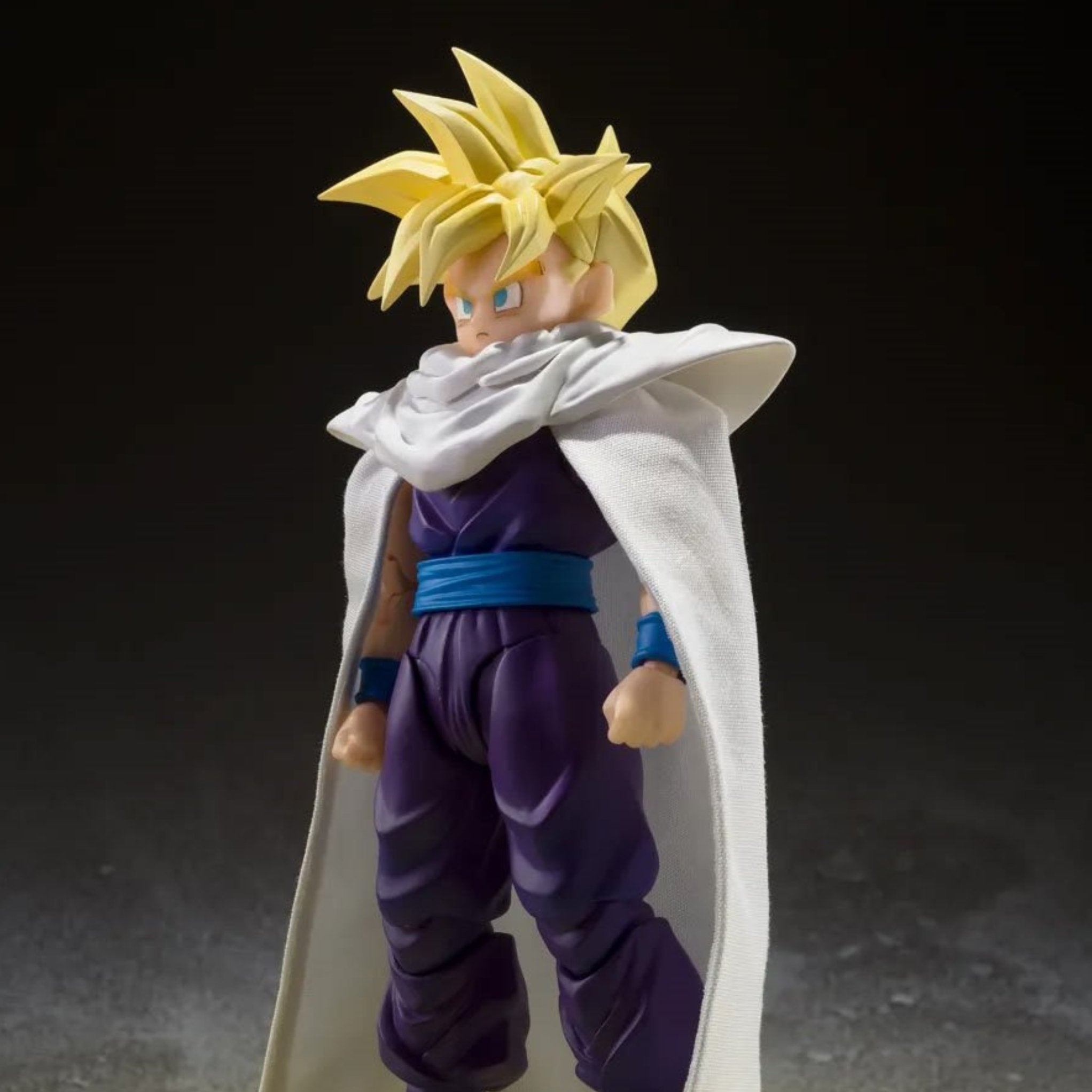 S.H. Figuarts Dragon Ball Z Super Saiyan Son Gohan (The Warrior Who Surpassed Goku)、mySite、hgirdovlk