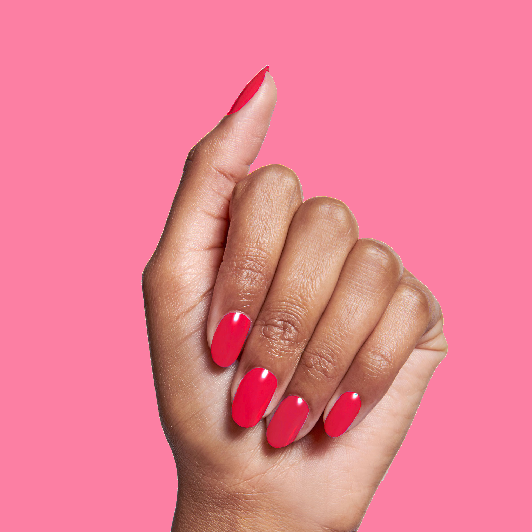 Hibiscus、mySite、solidvoid