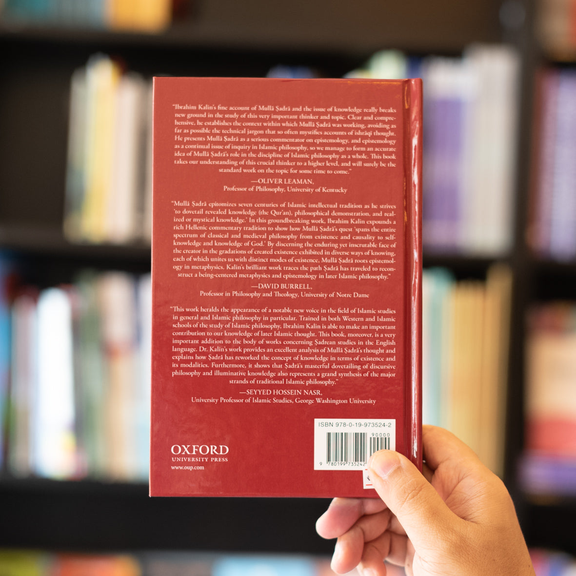 Knowledge in Later Islamic Philosophy、mySite、topwebapps