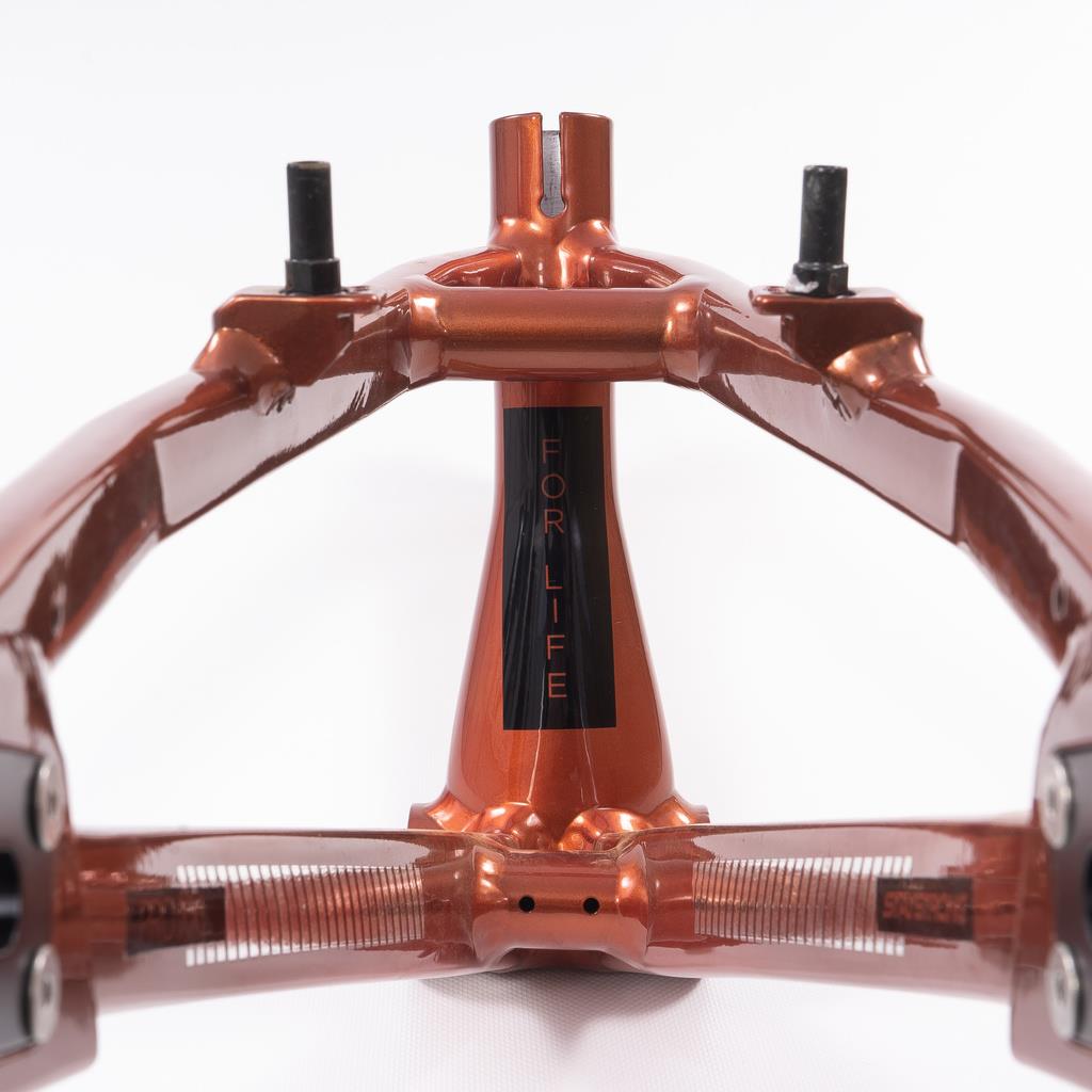  Stay Strong For Life 2023 V4 Cruiser XXL Race Frame、mySite、merchandisen