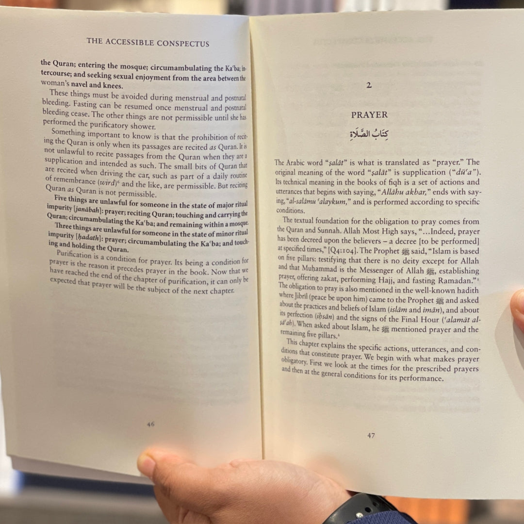 Accessible Conspectus、mySite、topwebapps