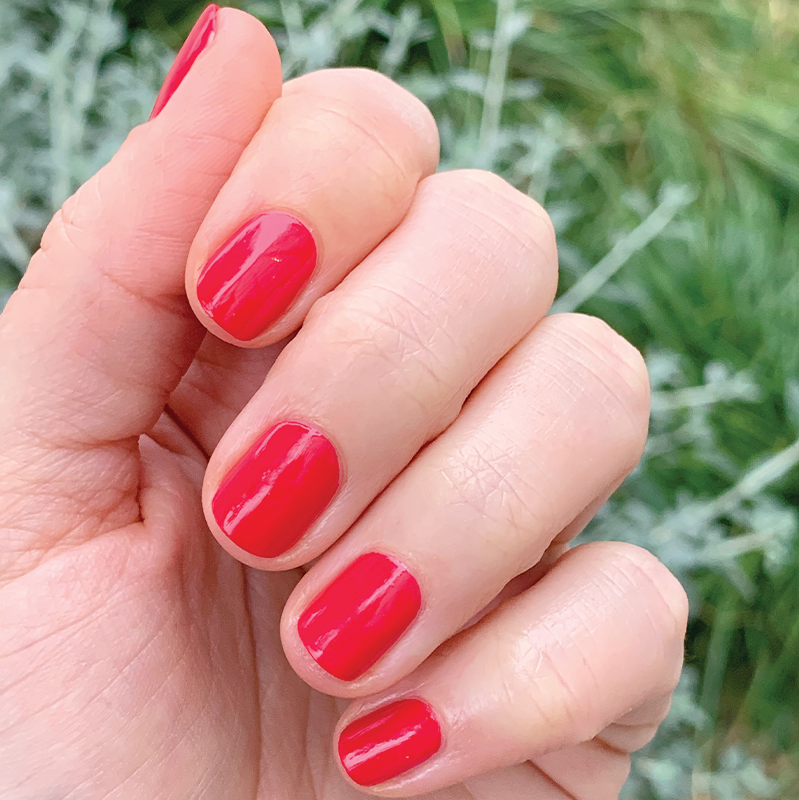 Hibiscus、mySite、solidvoid