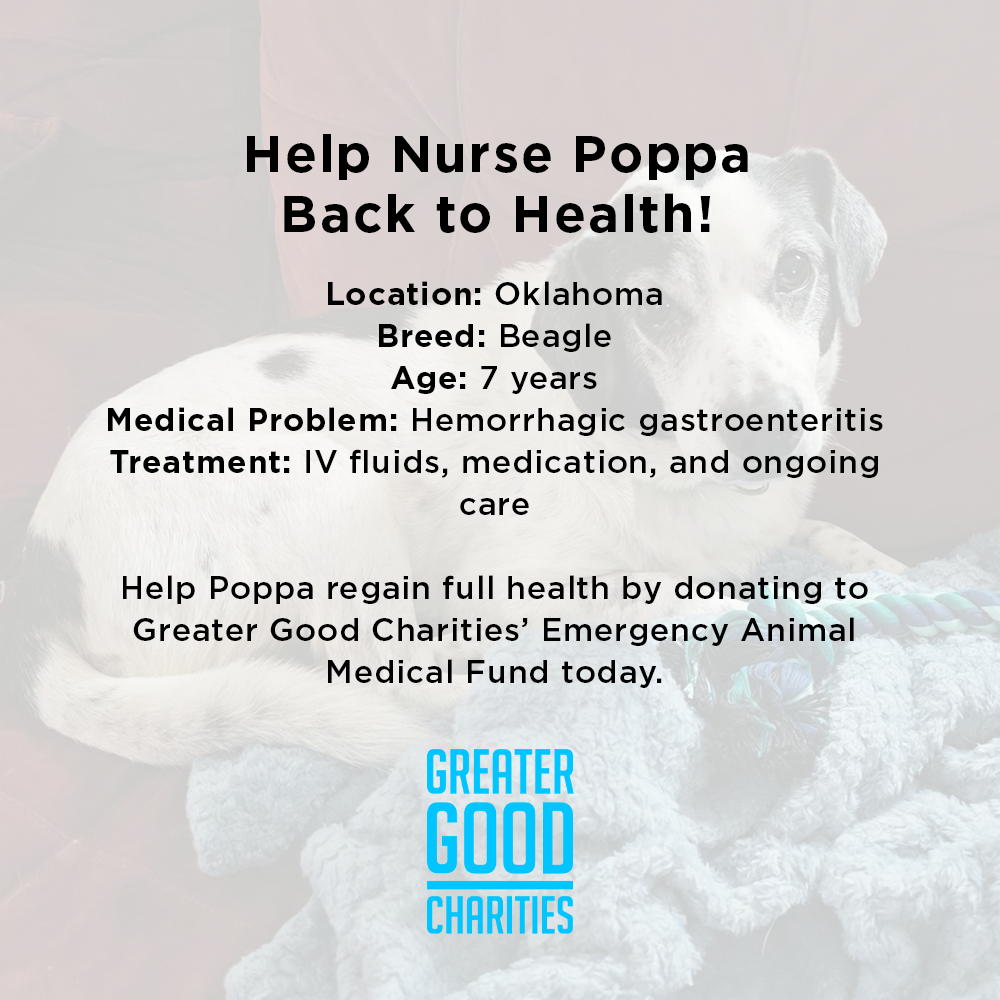 Funded: Help Nurse Poppa Back to Health、mySite、camillekostekn