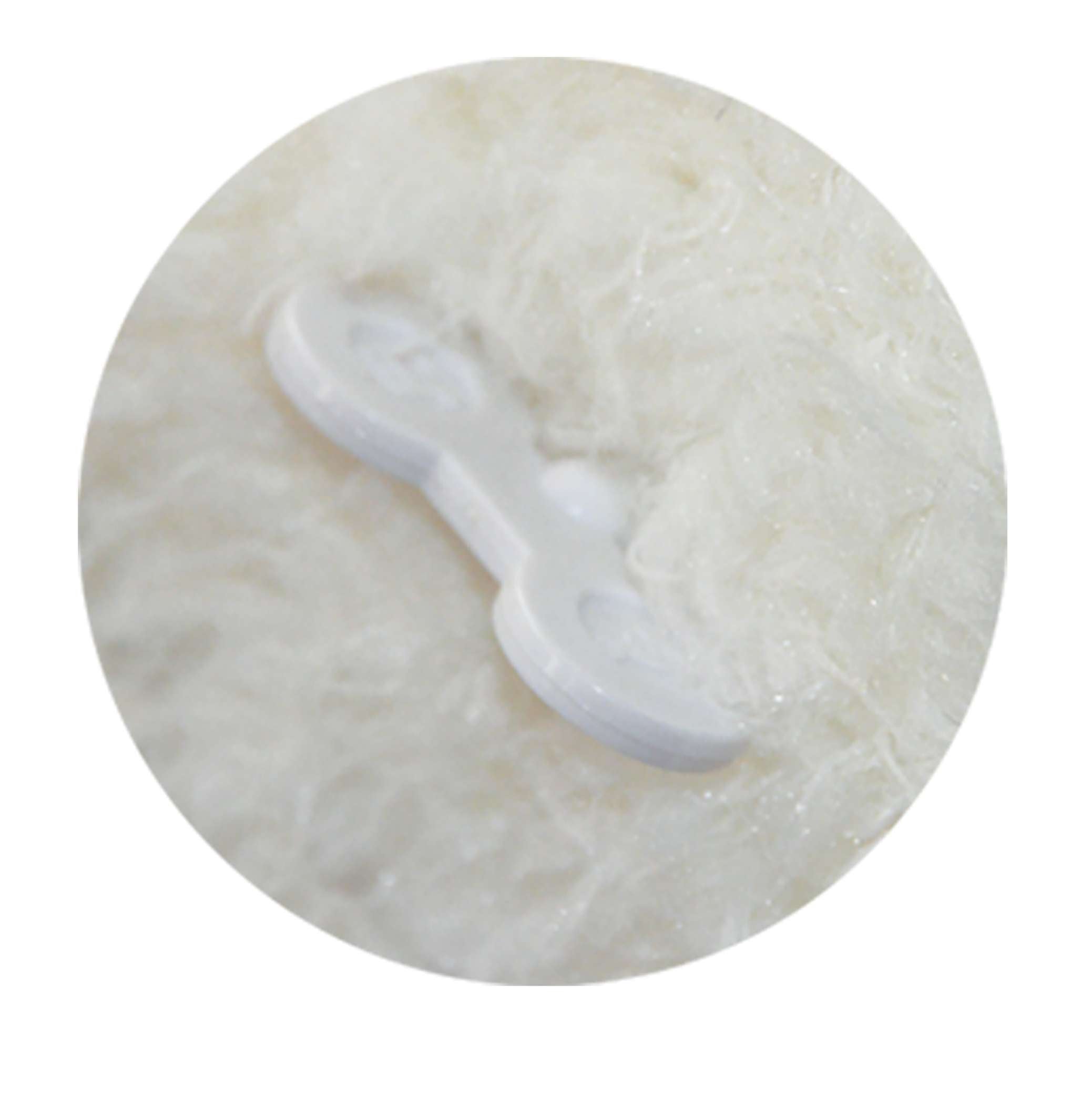 ebba™ - Blessing Lamb™ - Musicals! - 12 Blessings Lamb™、mySite、g9winljtr