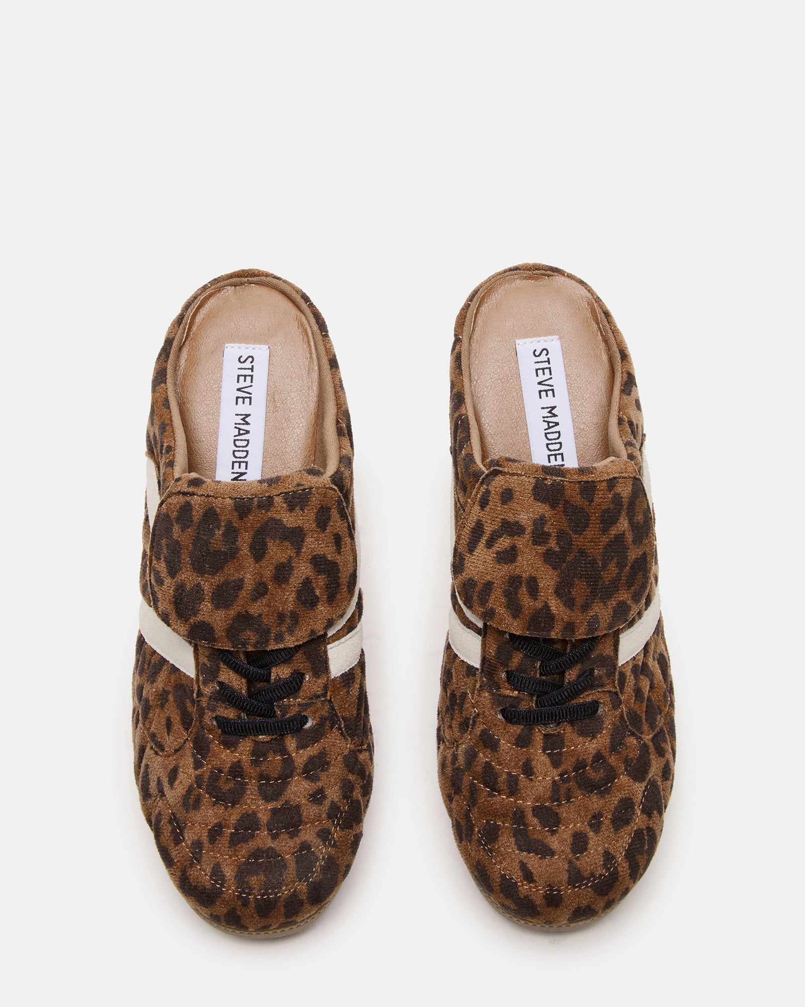 KADIN LEOPARD MULTI、mySite、gtrtttuynbv