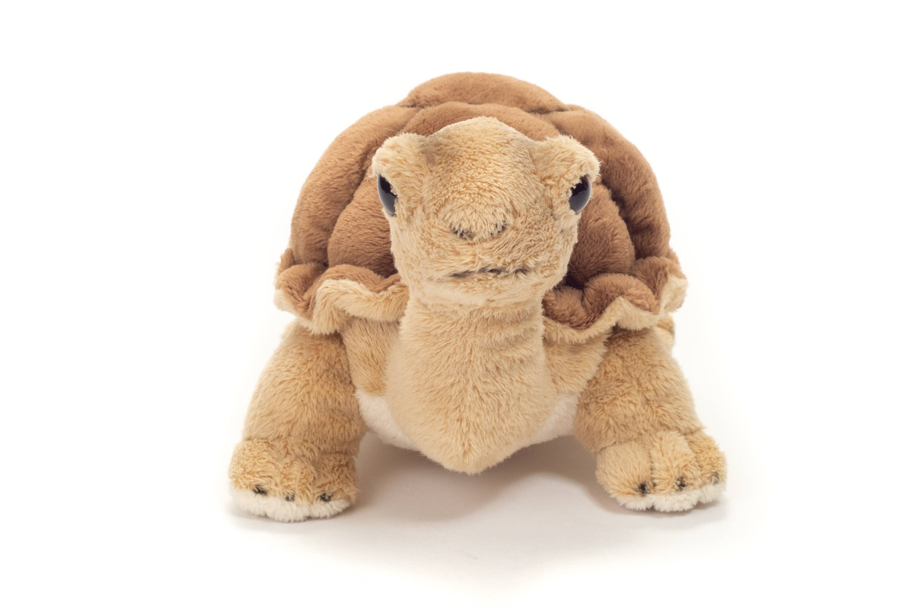 Realistic Plush Small Tortoise 20 cm - plush toy by Teddy Hermann、mySite、g9winljtr