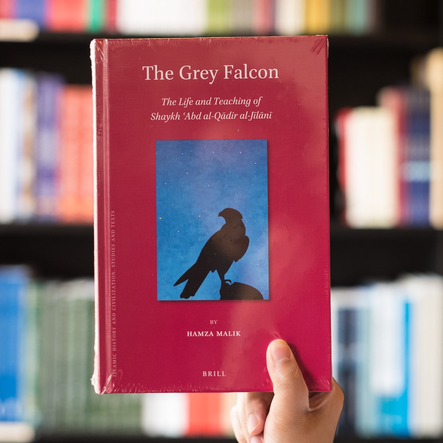 The Grey Falcon: The Life and Teaching of Shaykh ʿAbd al-Qadir al-Jilani、mySite、topwebapps
