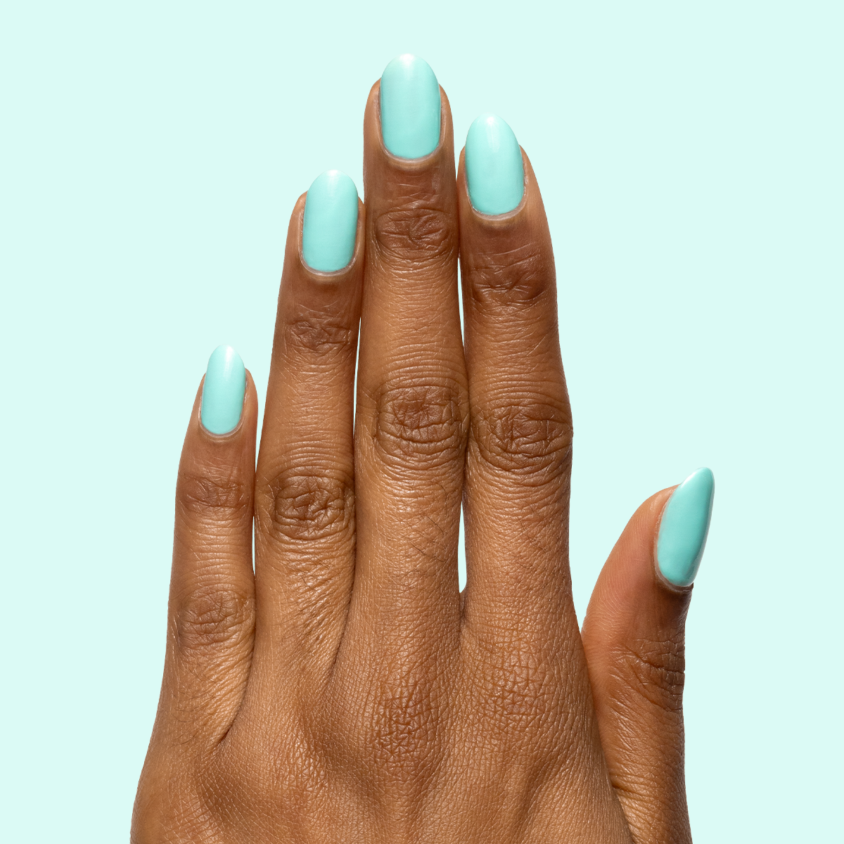 All Manis on Deck、mySite、solidvoid