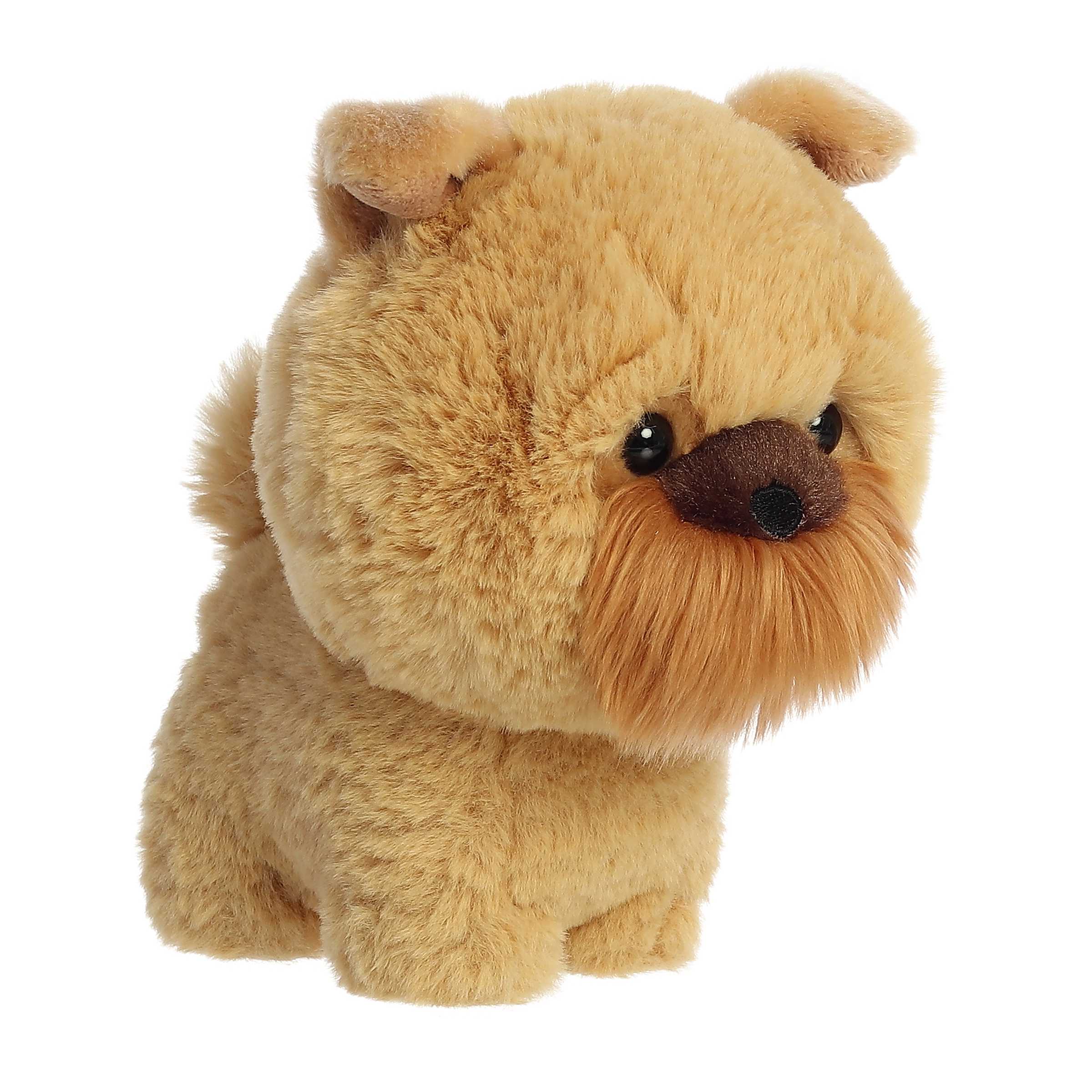 Aurora® - Teddy Pets™ - 7 Griffon Bruxellois、mySite、g9winljtr