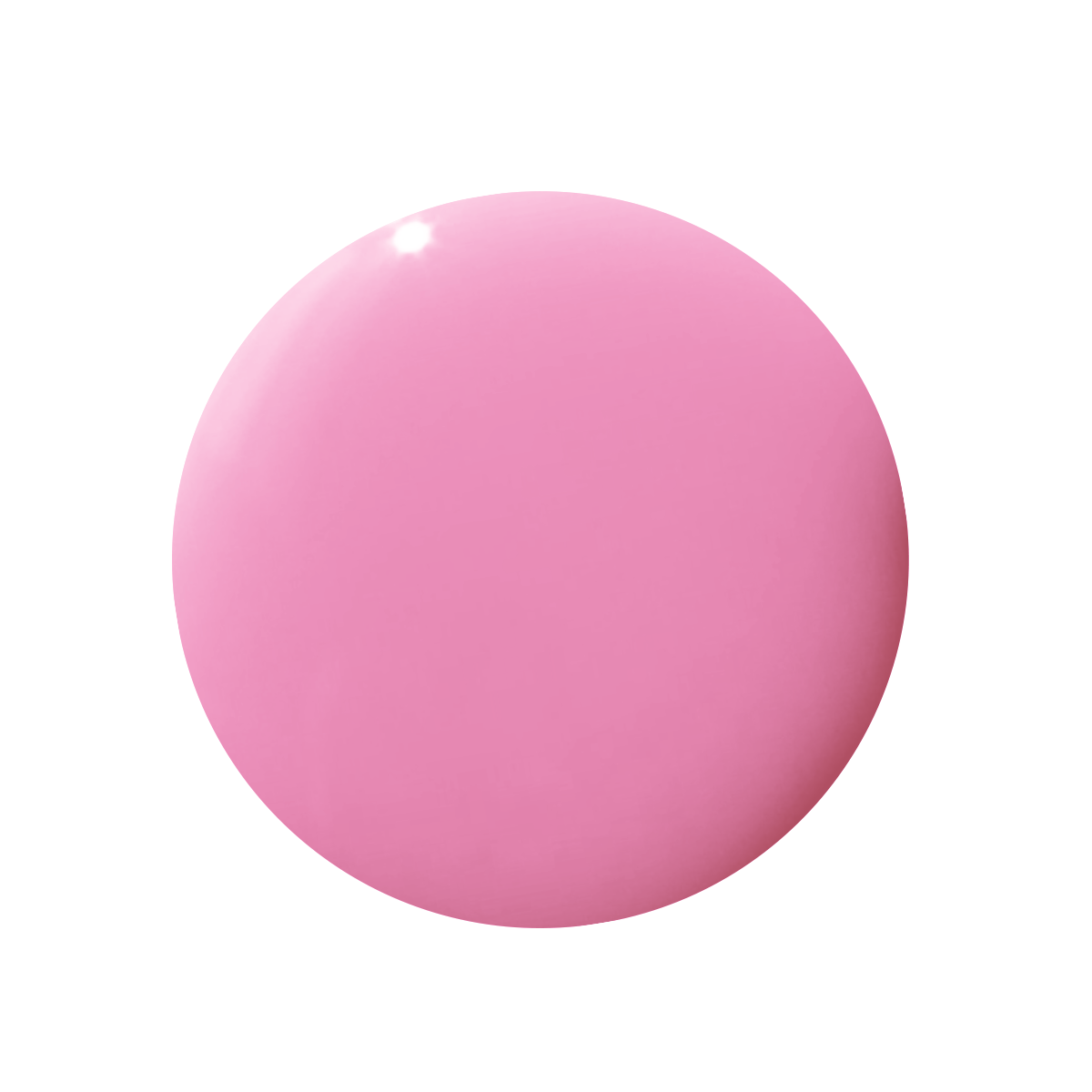 Taffy、mySite、solidvoid