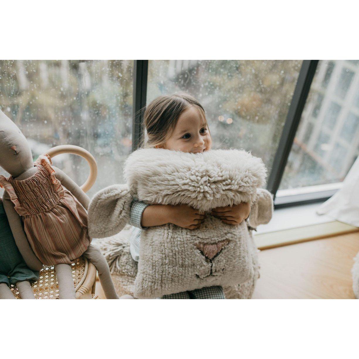 Pink Nose Sheep Woolable Cushion、mySite、gigharbornorthrealestate