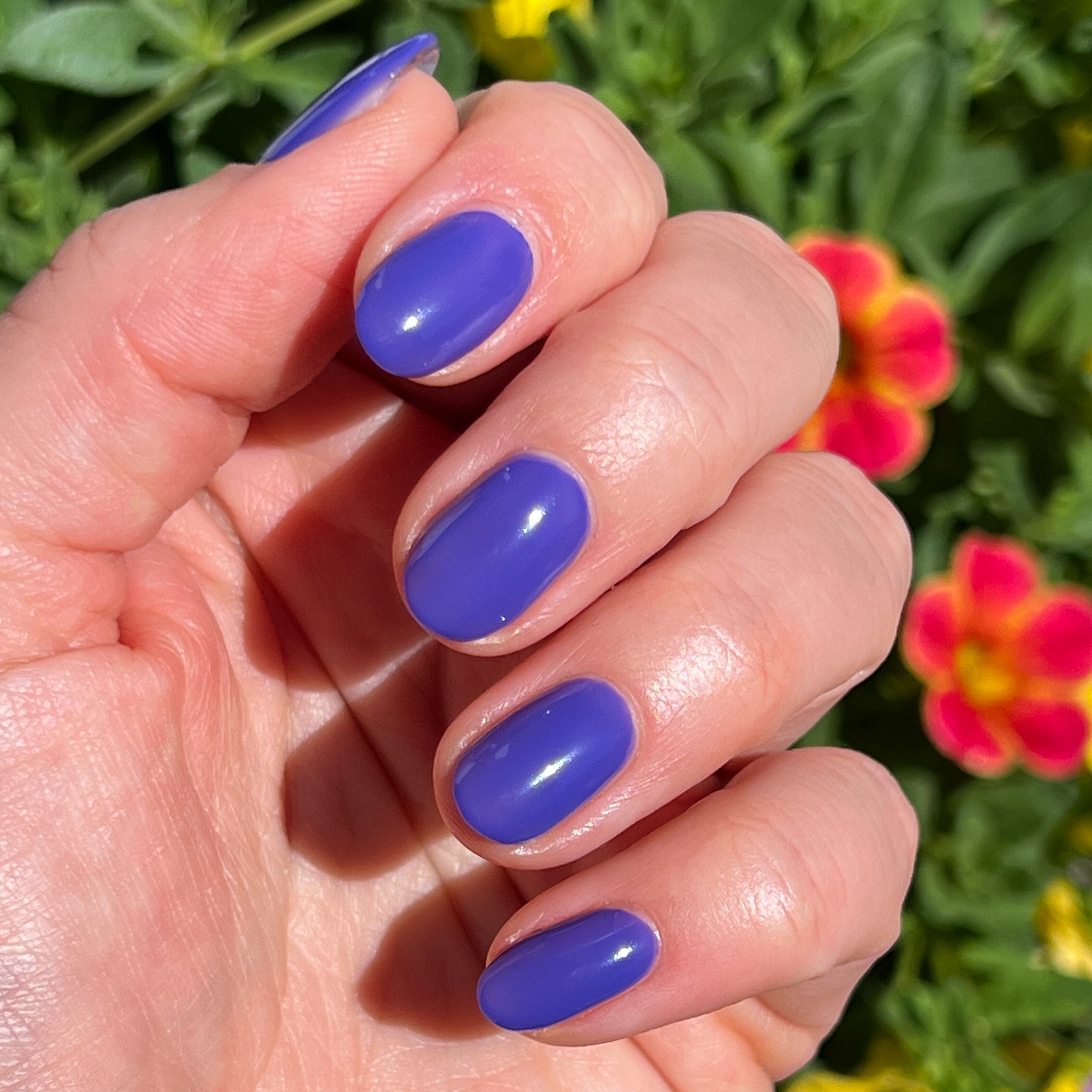 House of O&J、mySite、solidvoid