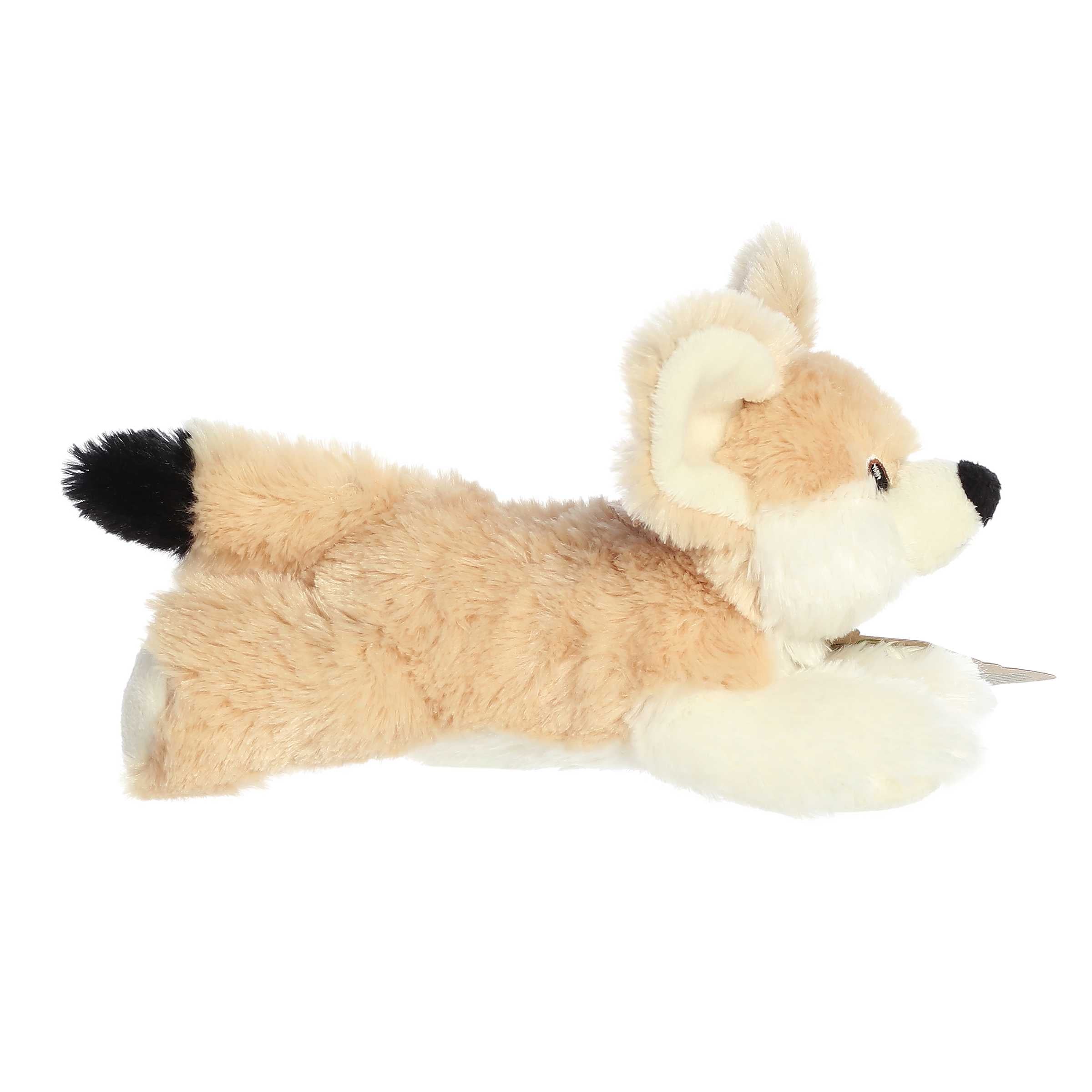 Aurora® - Eco Nation™ - Eco Softies™ - 8 Fennec Fox、mySite、g9winljtr