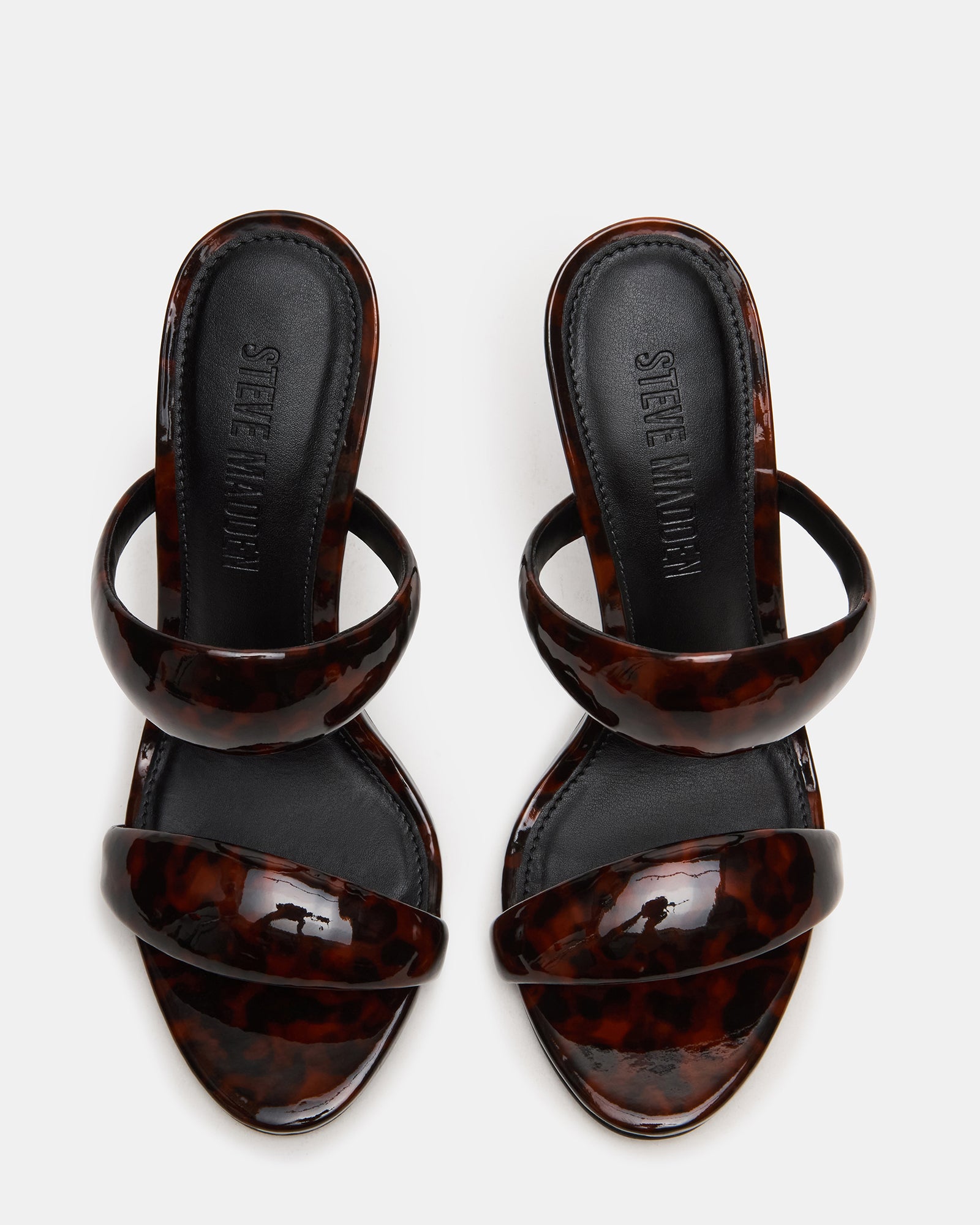 SATURN TORTOISE、mySite、gtrtttuynbv