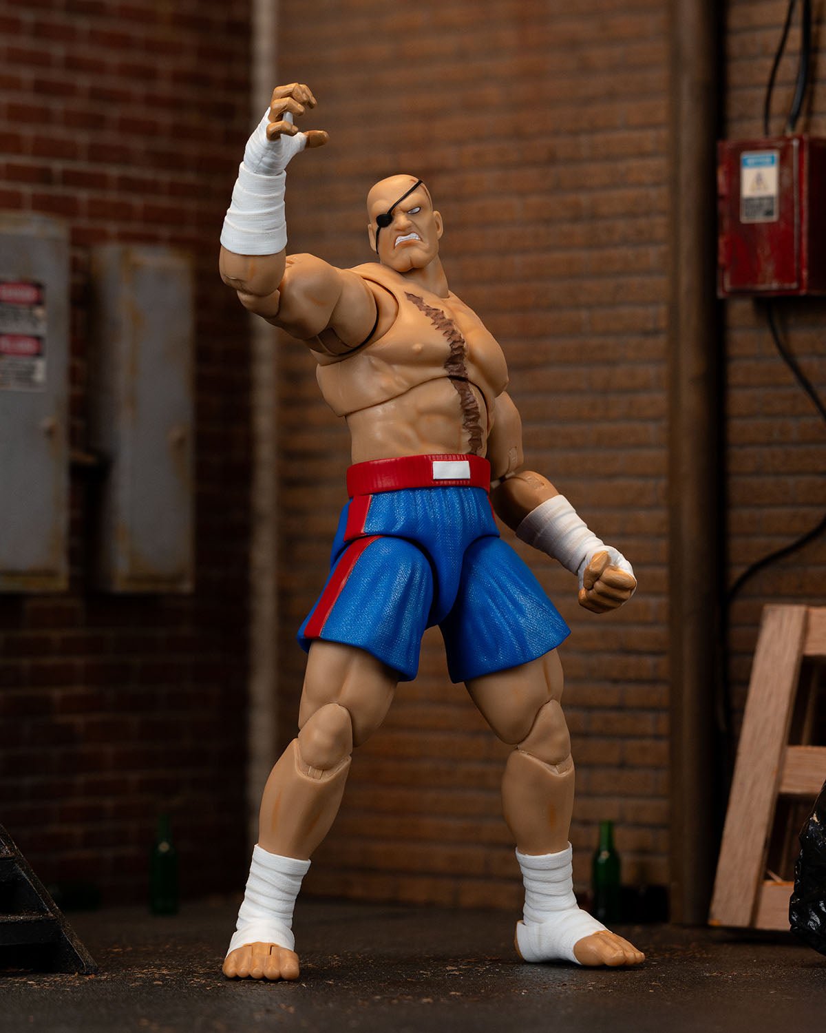 Street Fighter Sagat、mySite、hgirdovlk