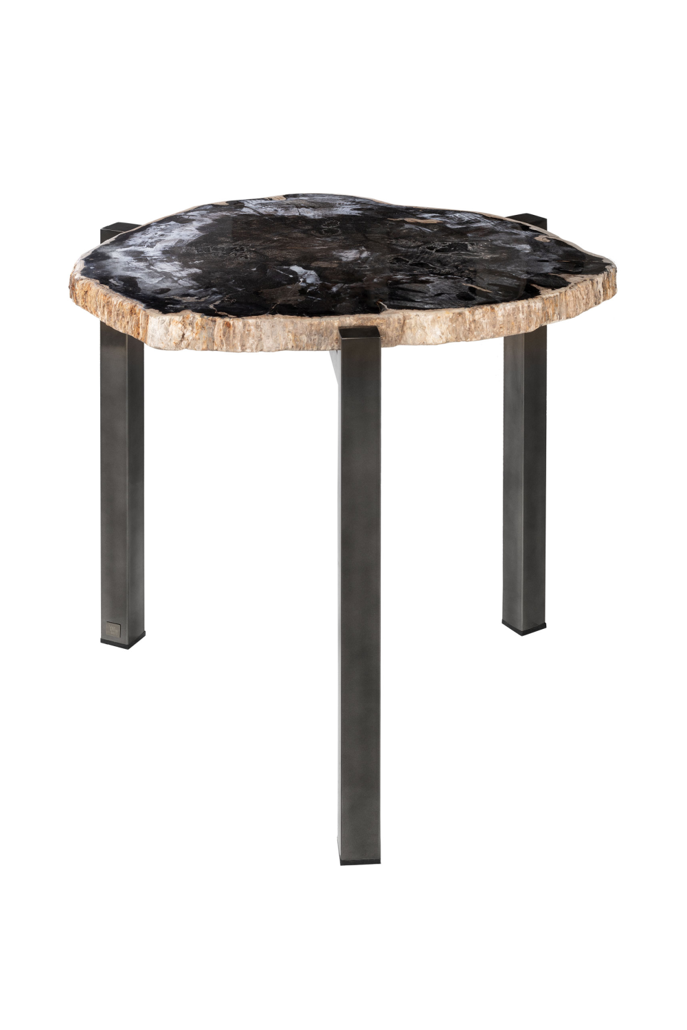 Petrified Wood Occasional Table | Versmissen、mySite、neckold
