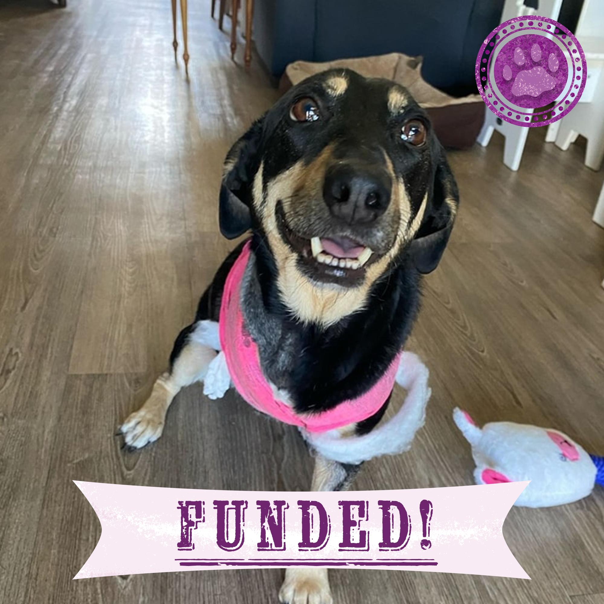 Funded: Help Skye-Lee Live Cancer-Free、mySite、camillekostekn