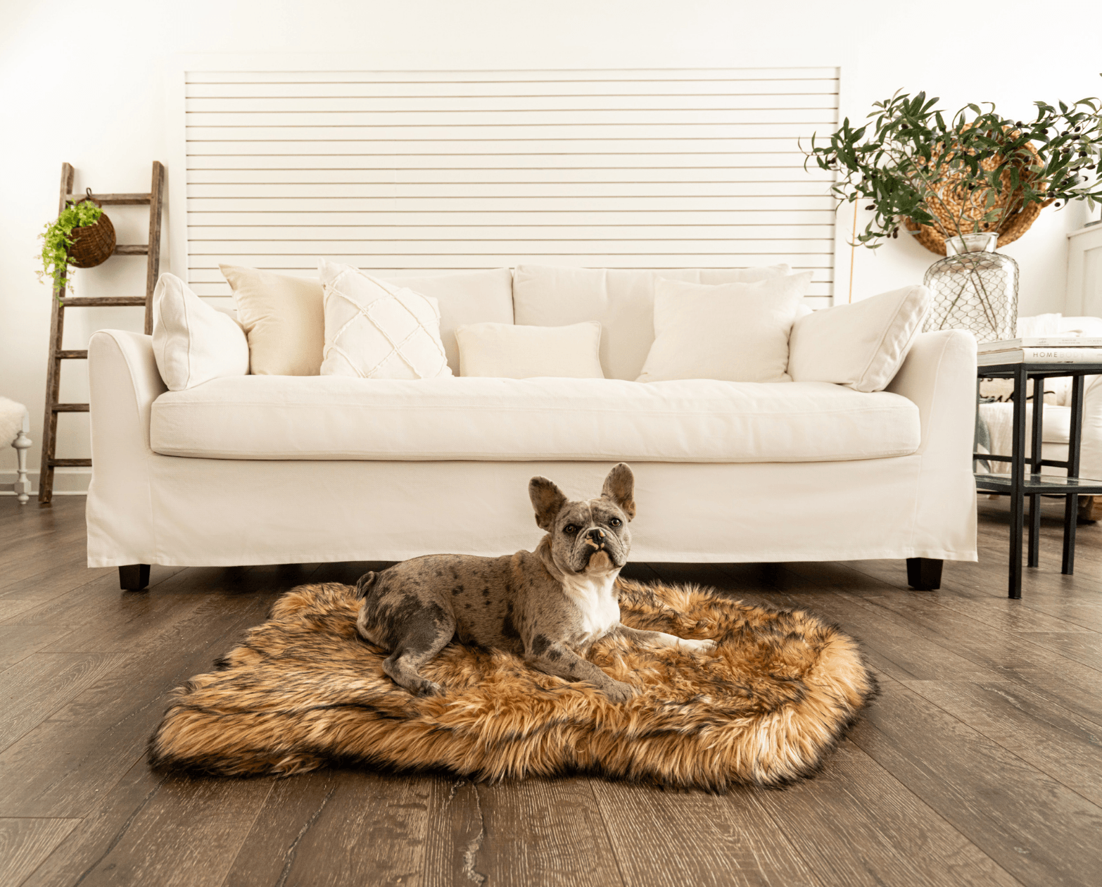 PupRug by Paw.com™ Faux Fur Orthopedic Dog Bed - Curve Sable Tan、mySite、solidvoid