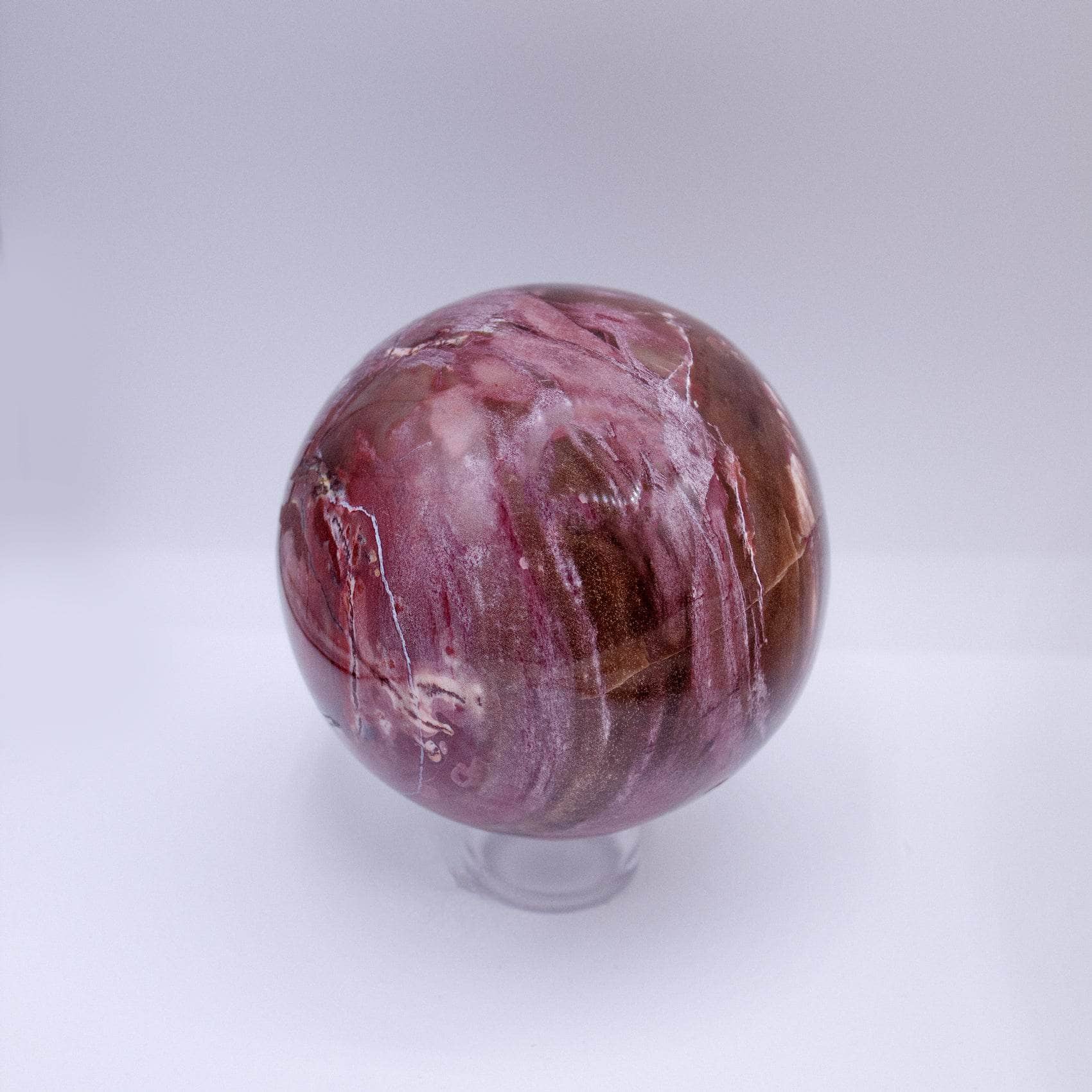 Petrified Wood Sphere - AAA Premium Quality、mySite、hinf8tx79