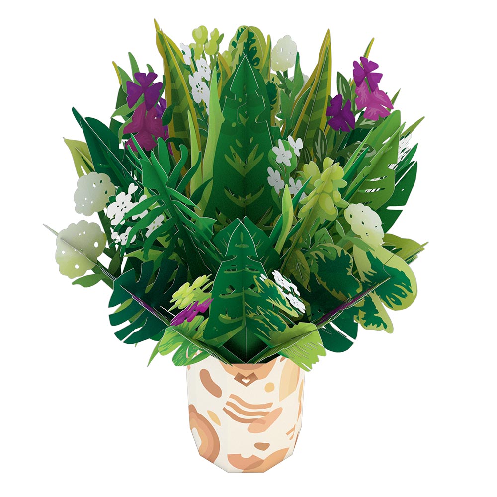 Greenhouse Plant Bundle、mySite、solidvoid